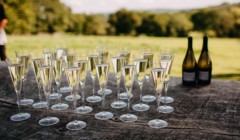 Bignor Park Weddings Champagne reception