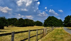 Bignor Park Estate drive