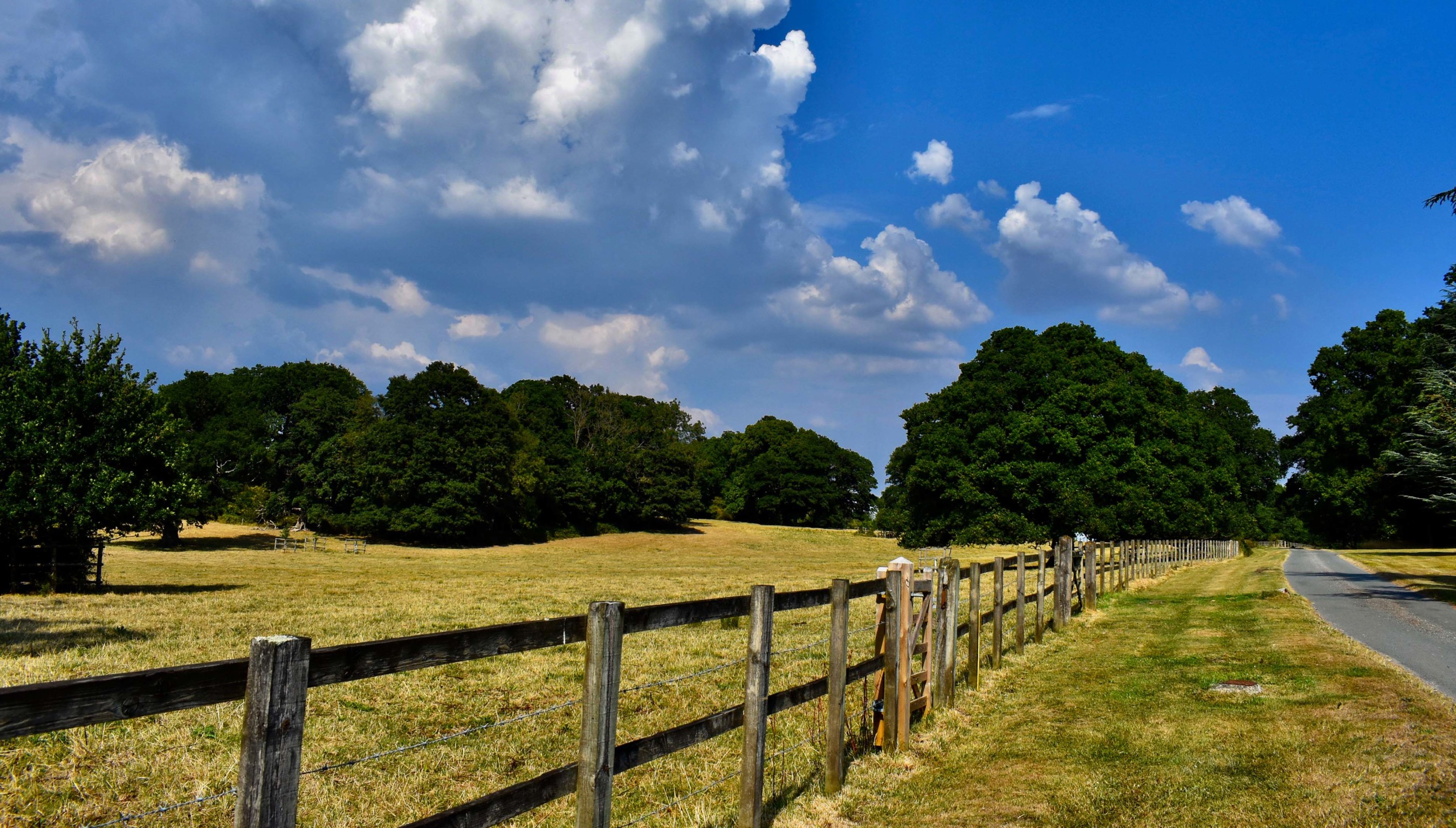 Bignor Park Estate drive