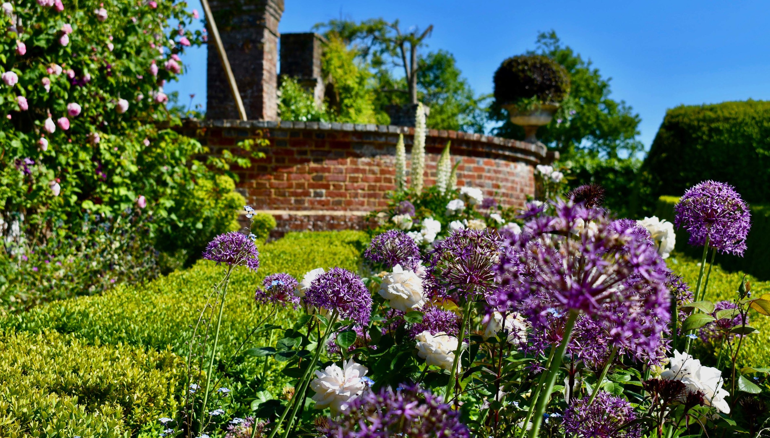 Bignor Park garden flowers