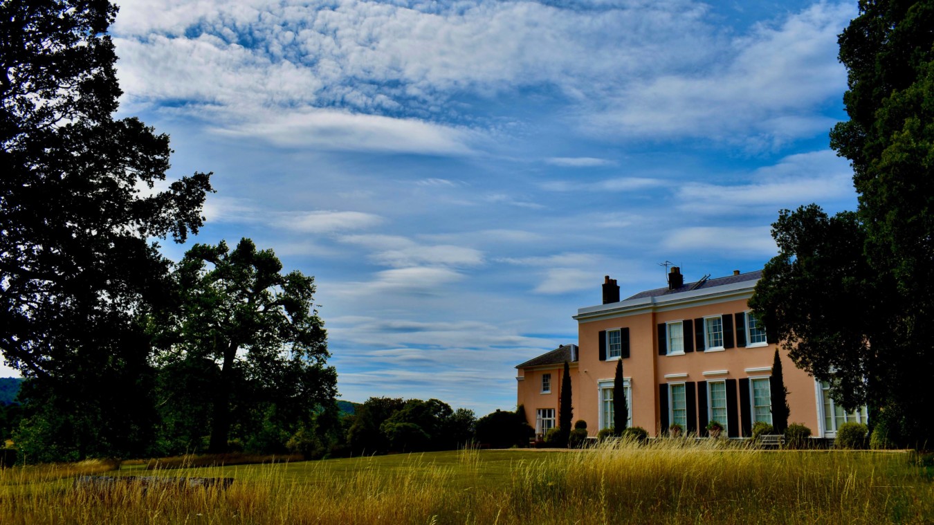 Bignor Park - house and fields