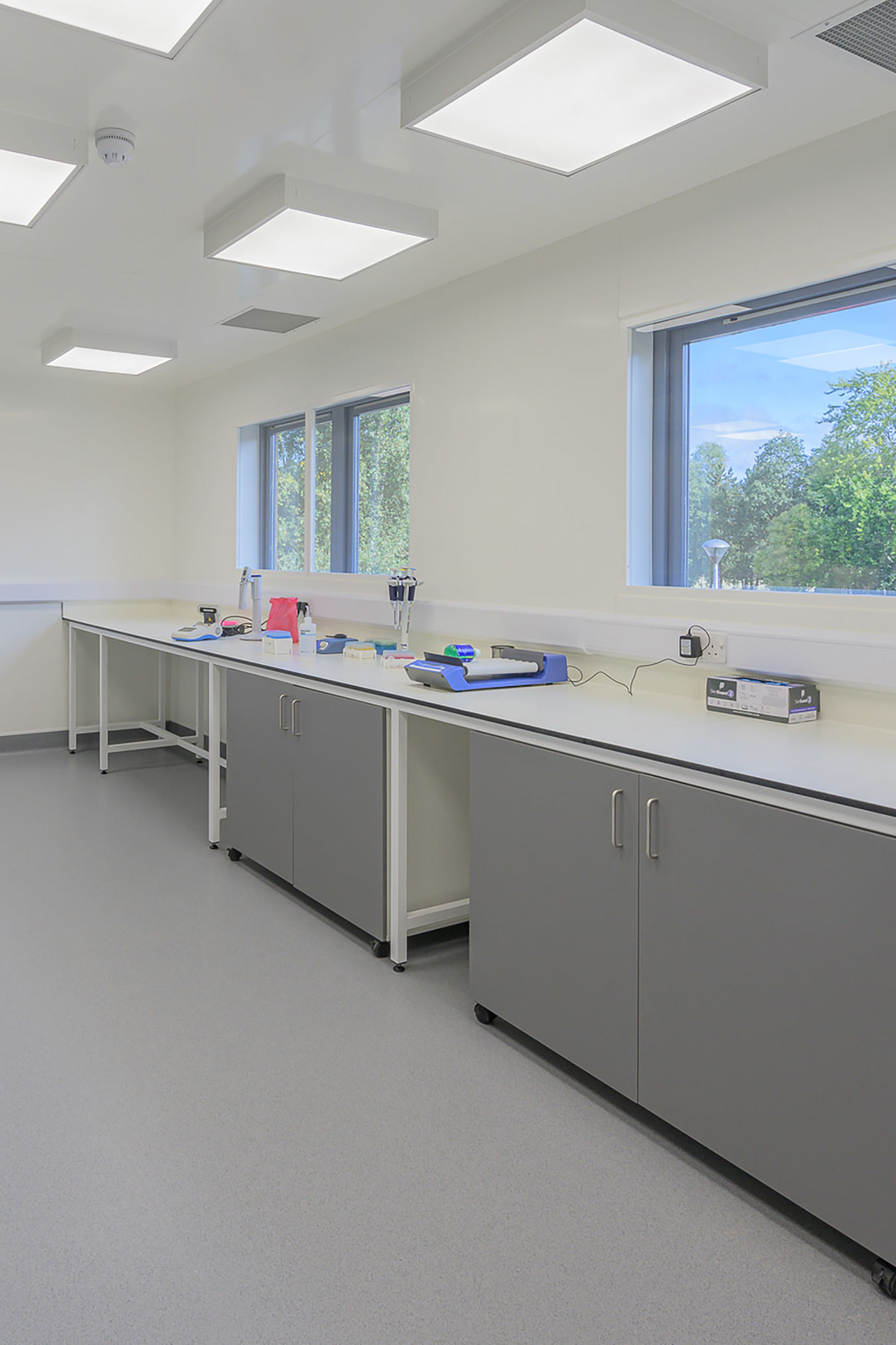 Bright laboratory with grey cabinets, white countertops, and large windows providing natural light and views of greenery outside.