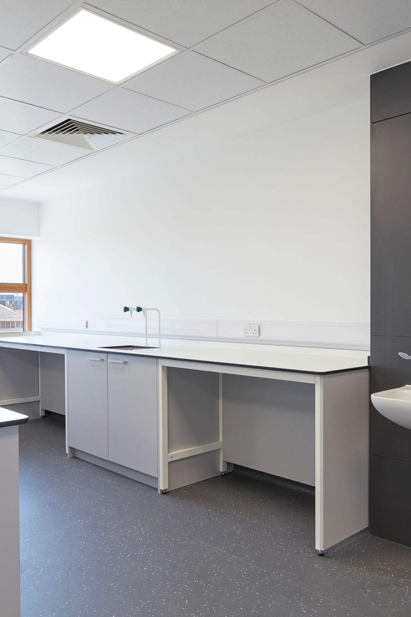 Clean laboratory room with white countertops, a black door featuring a viewing panel, a wall-mounted sink, and a large window providing natural light.