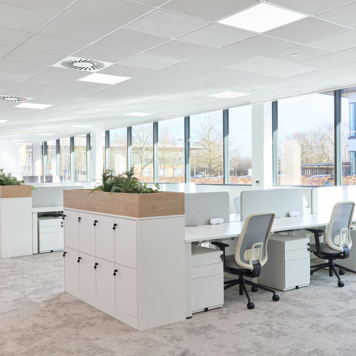 Modern open-plan office space with rows of white desks and swivel chairs. Large windows allow natural light. Planters add greenery, creating a calm atmosphere