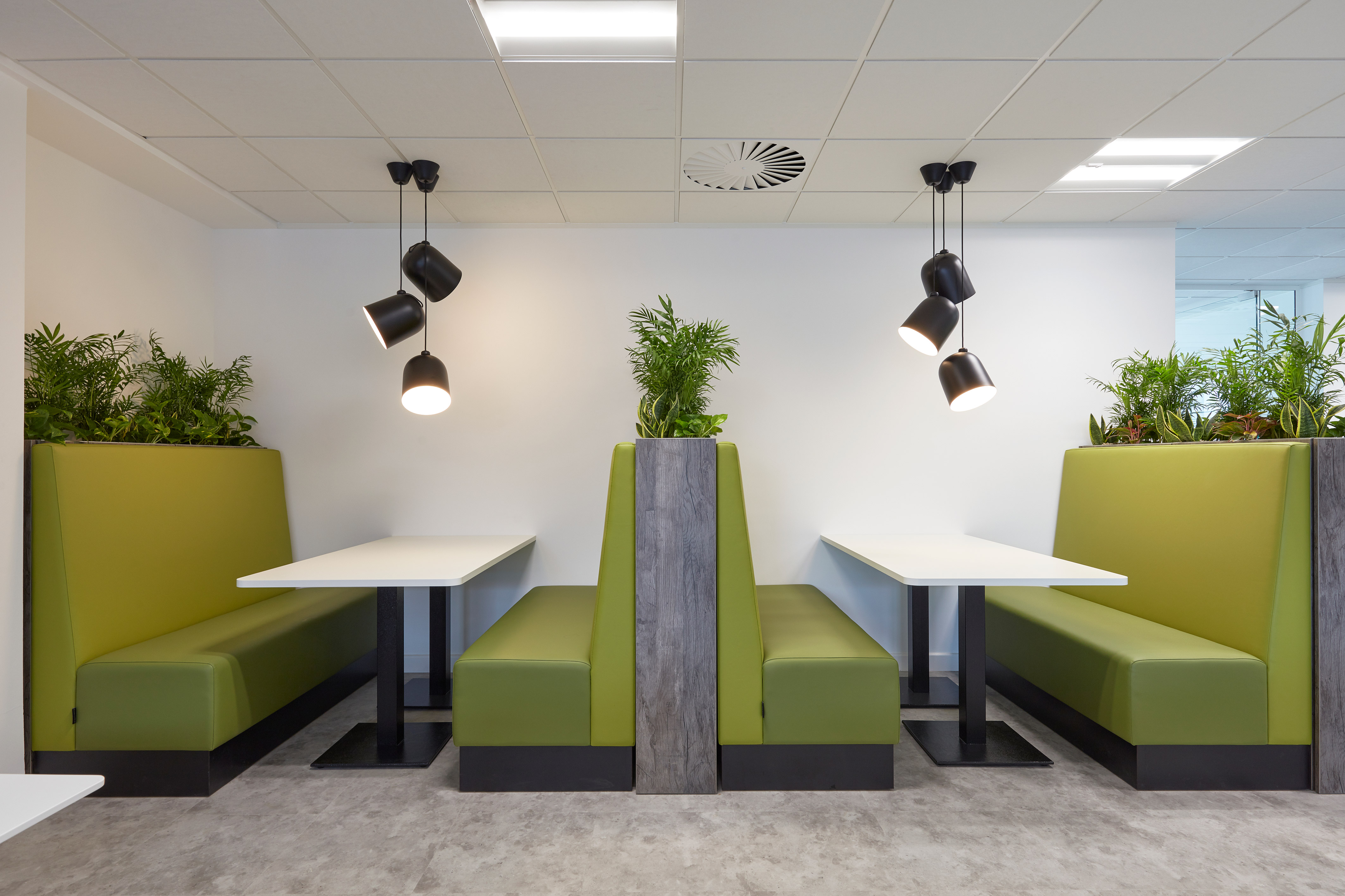 green booths, white tables, hanging black lamps, and green plants on dividers. Clean, minimalist, and inviting atmosphere