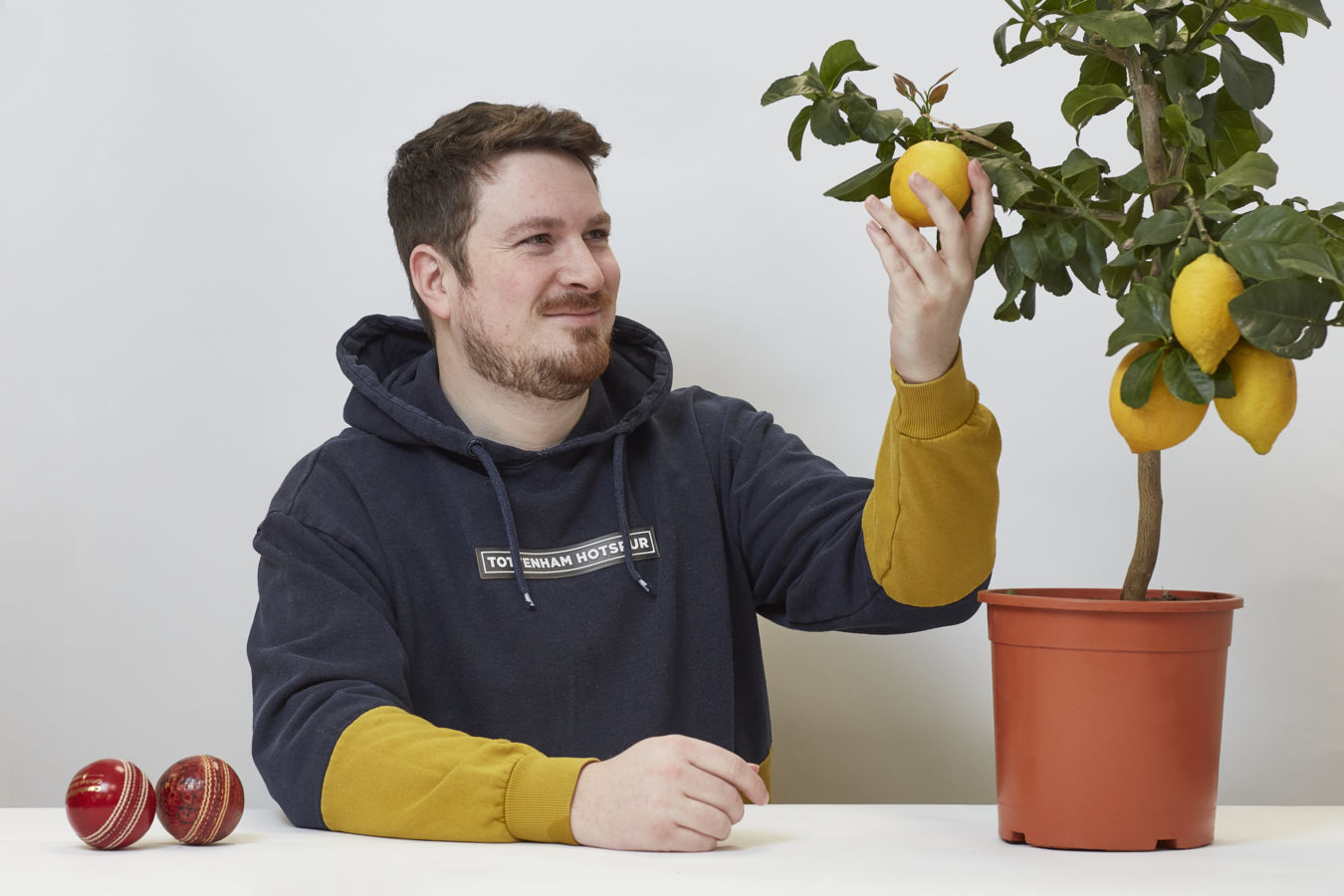 A man in a "Tottenham Hotspur" hoodie holds a lemon while seated at a table with two cricket balls and a lemon tree in a pot, against a plain background.