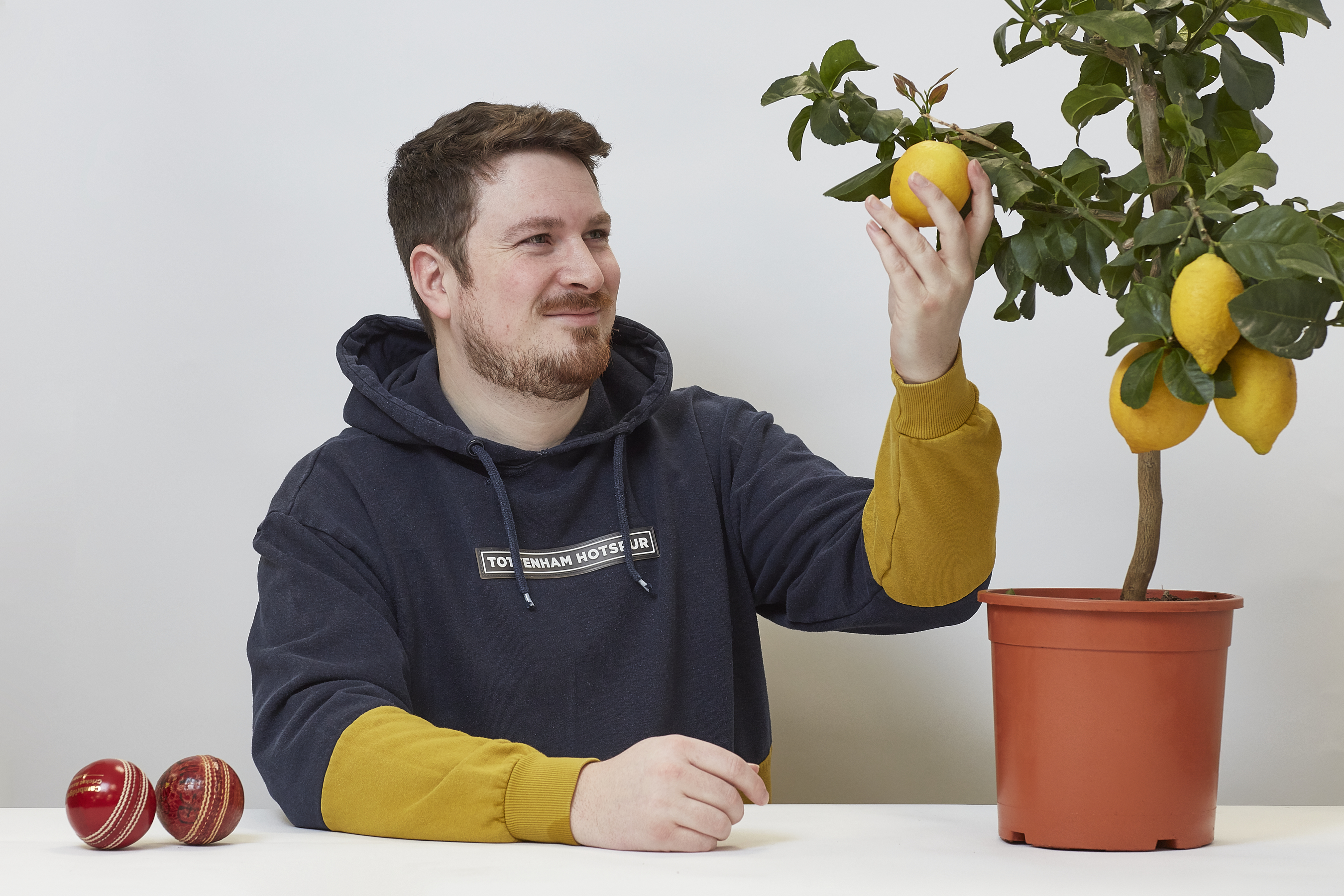 A man in a "Tottenham Hotspur" hoodie holds a lemon while seated at a table with two cricket balls and a lemon tree in a pot, against a plain background.