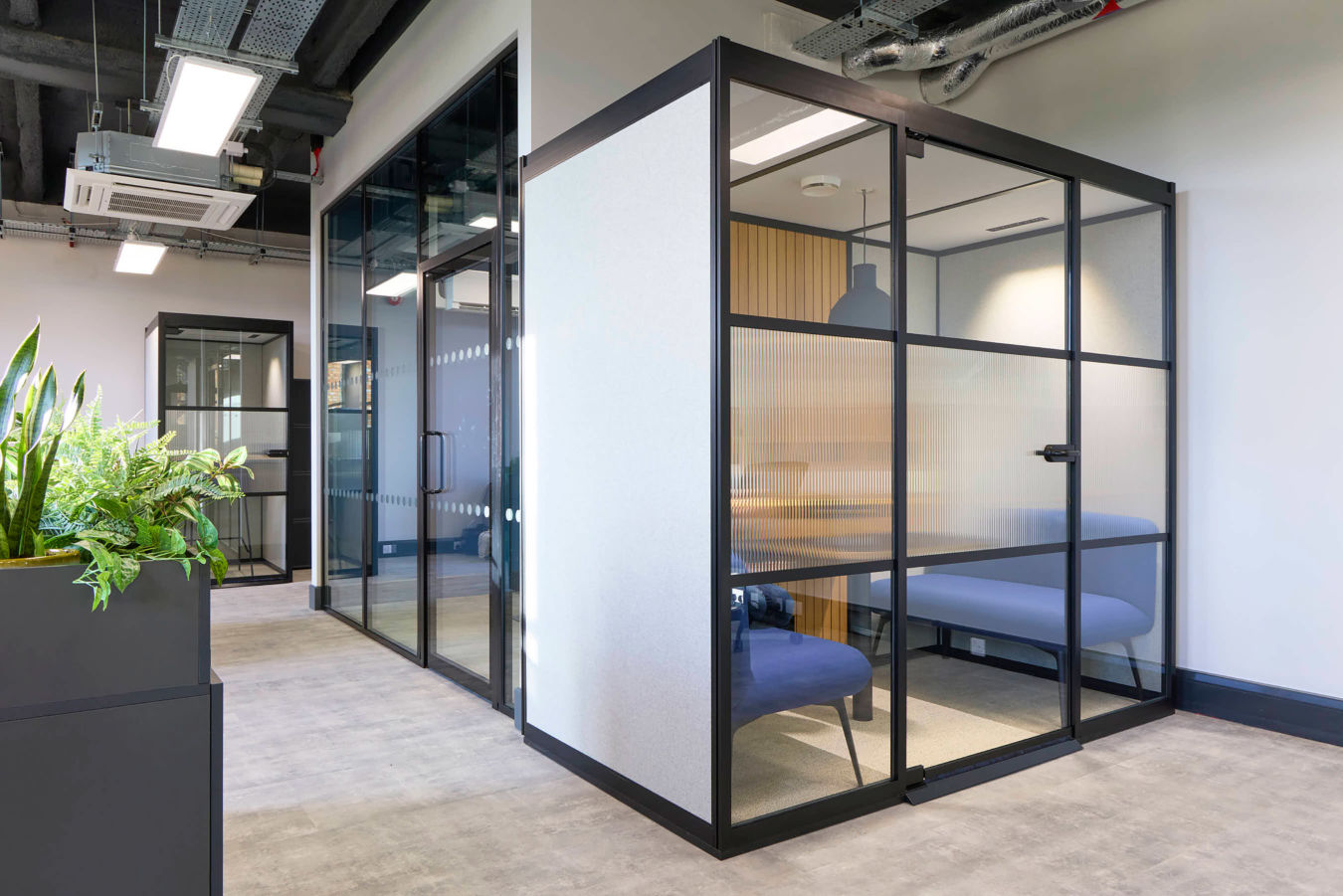 Modern office partitions with glass walls and black frames, enclosing blue seating areas; features exposed ceilings, overhead lighting, and a planter with green foliage in the foreground.