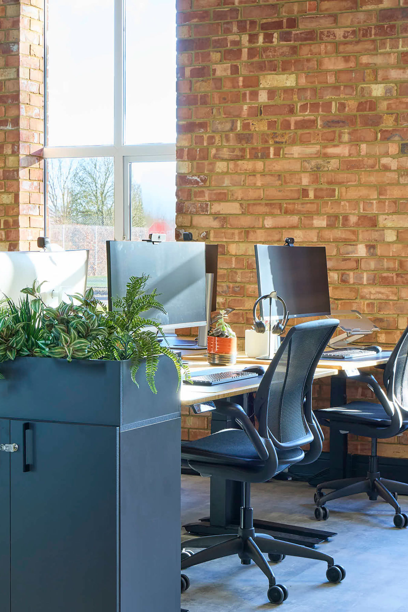 Office desks with computers, black chairs, and plants in a planter against a brick wall