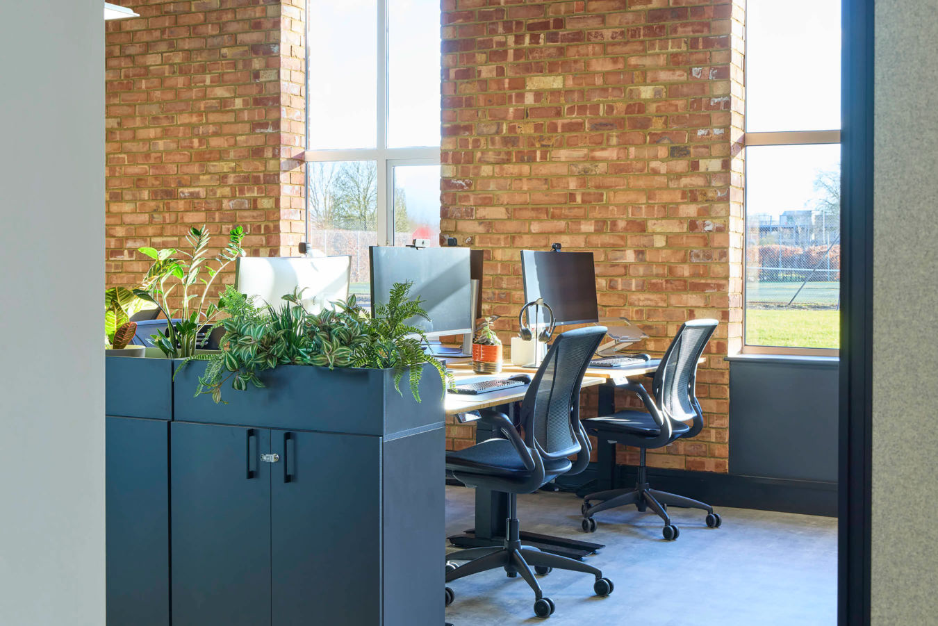 Office desks with computers, black chairs, and plants in a planter against a brick wall