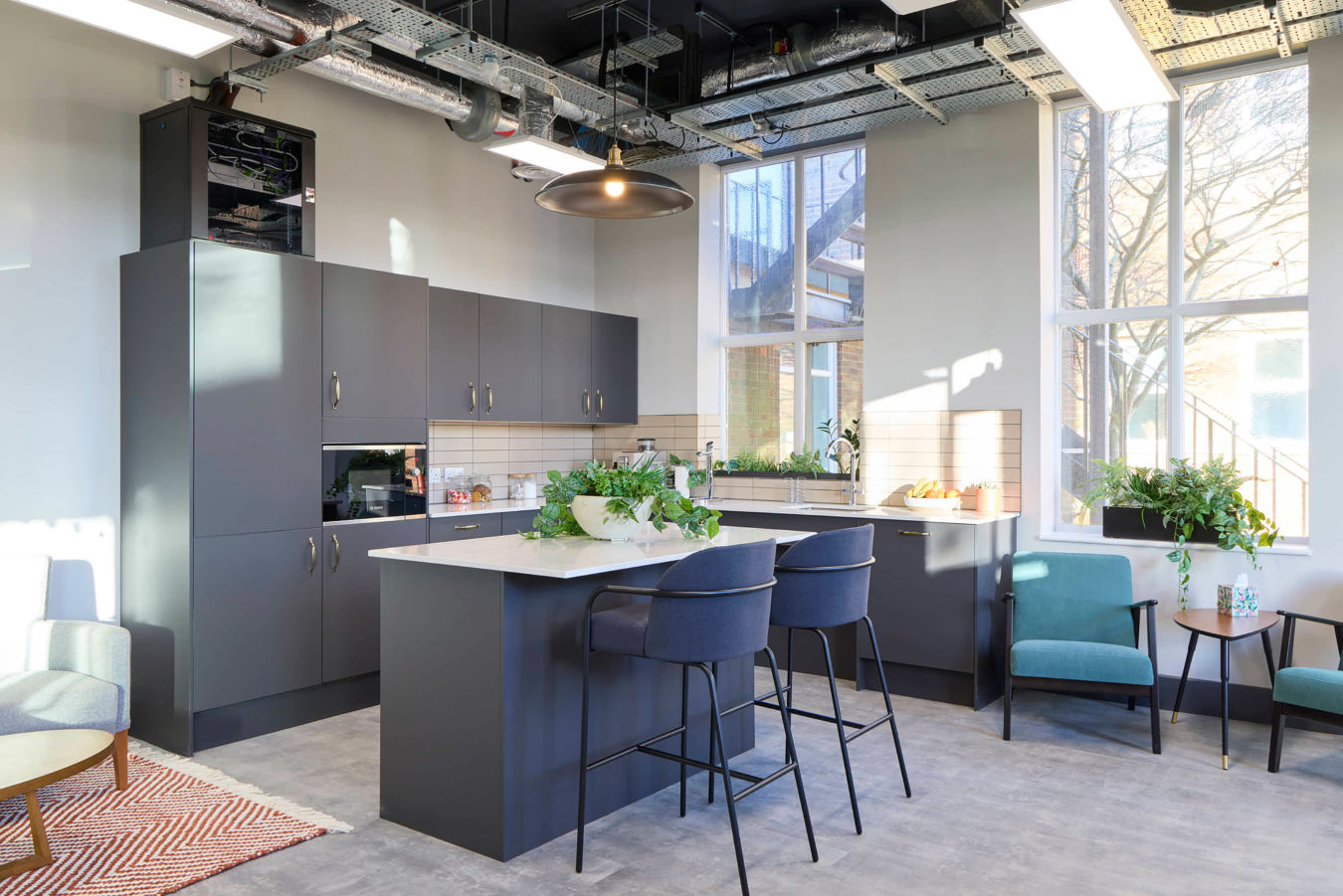 Modern kitchen with dark gray cabinets, white countertops, and indoor plants. Sunlight streams through large windows, creating a welcoming atmosphere