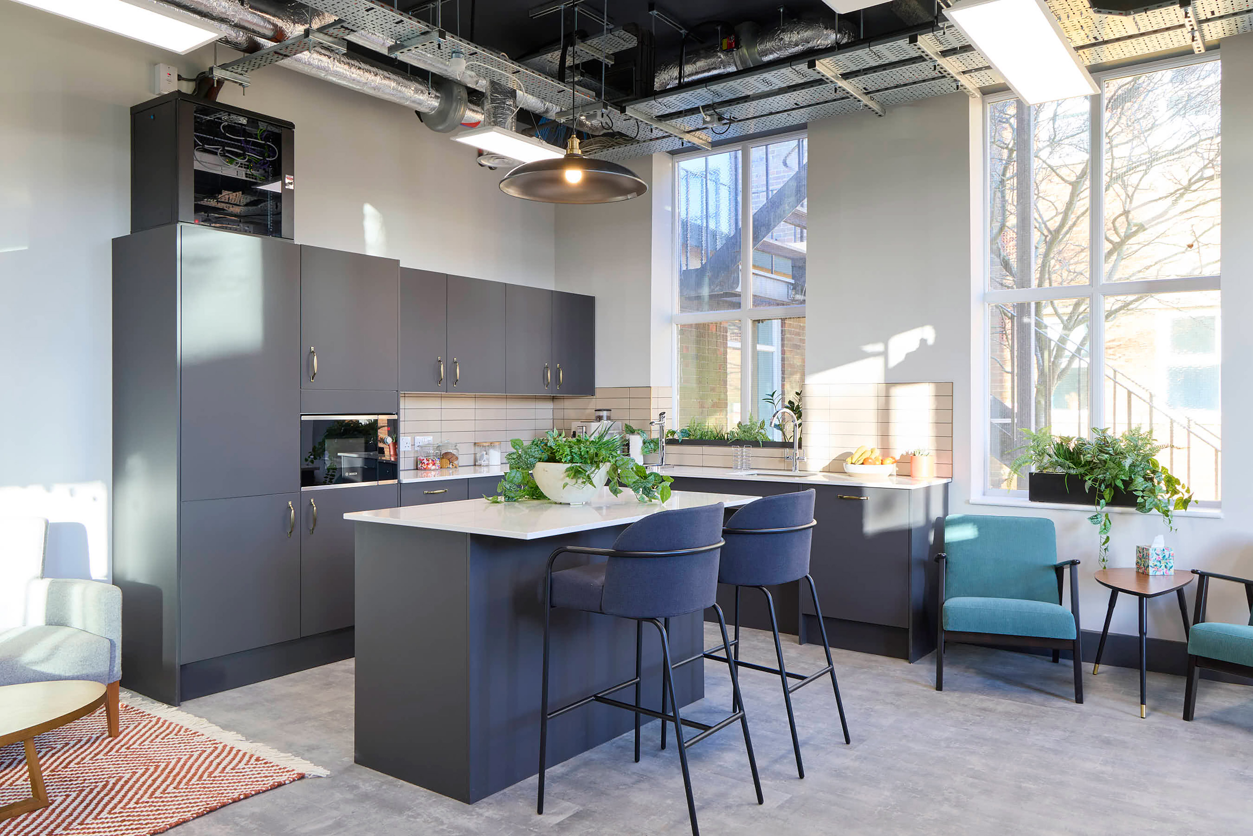 Modern kitchen with dark gray cabinets, white countertops, and indoor plants. Sunlight streams through large windows, creating a welcoming atmosphere