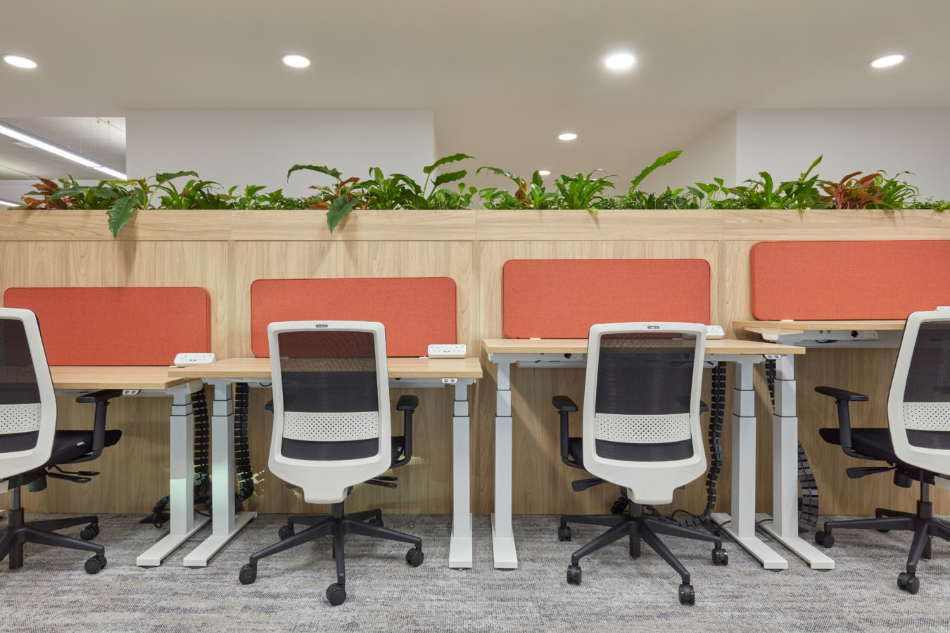 empty office with several white desks, ergonomic chairs, and plants, promoting an open workspace