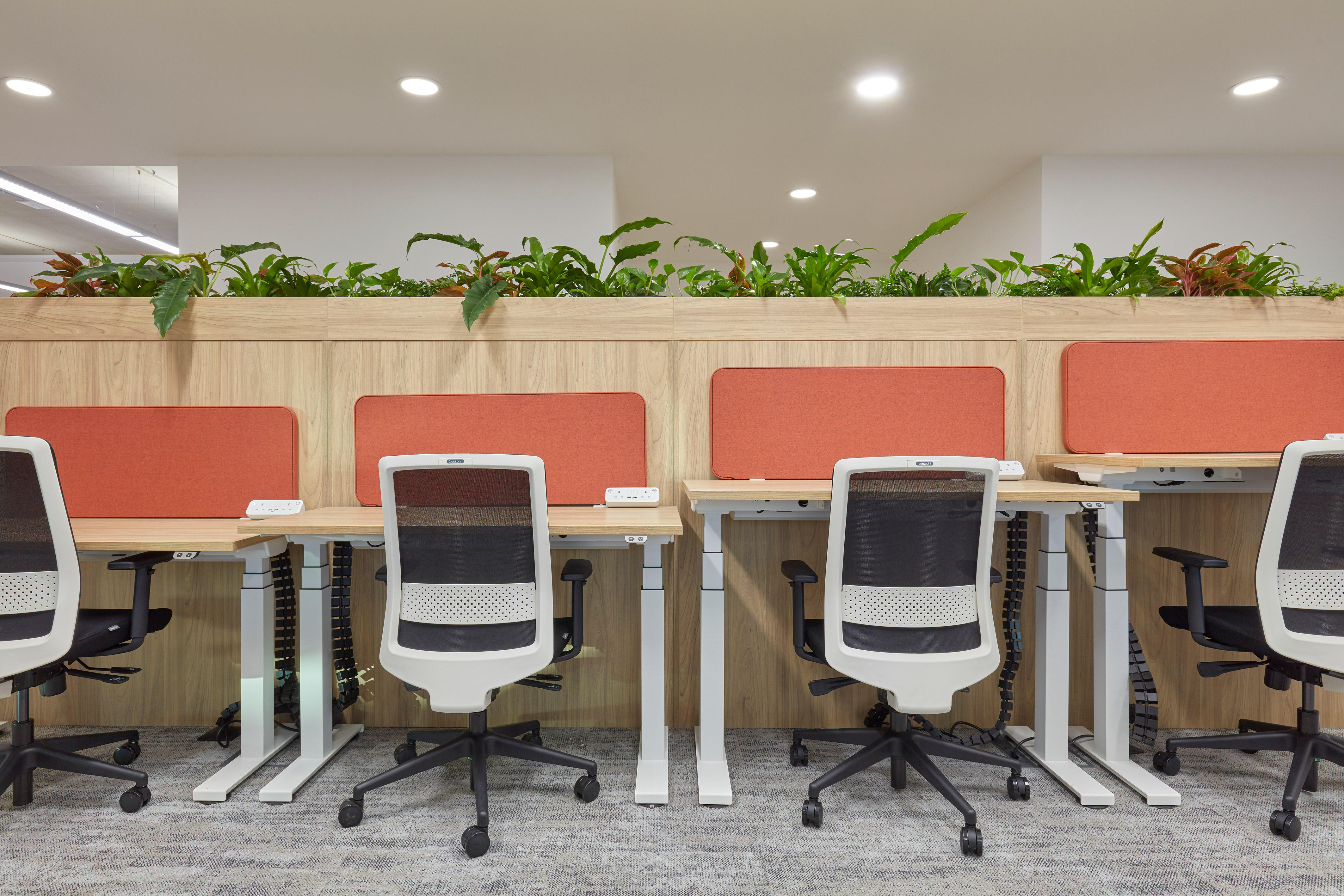 empty office with several white desks, ergonomic chairs, and plants, promoting an open workspace