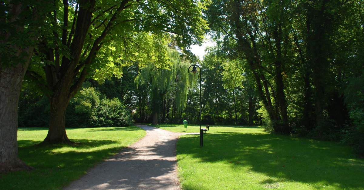 Pathway winding through a lush, sunlit park with green grass, tall trees, a lamp post, and a distant park bench, creating a serene natural environment.