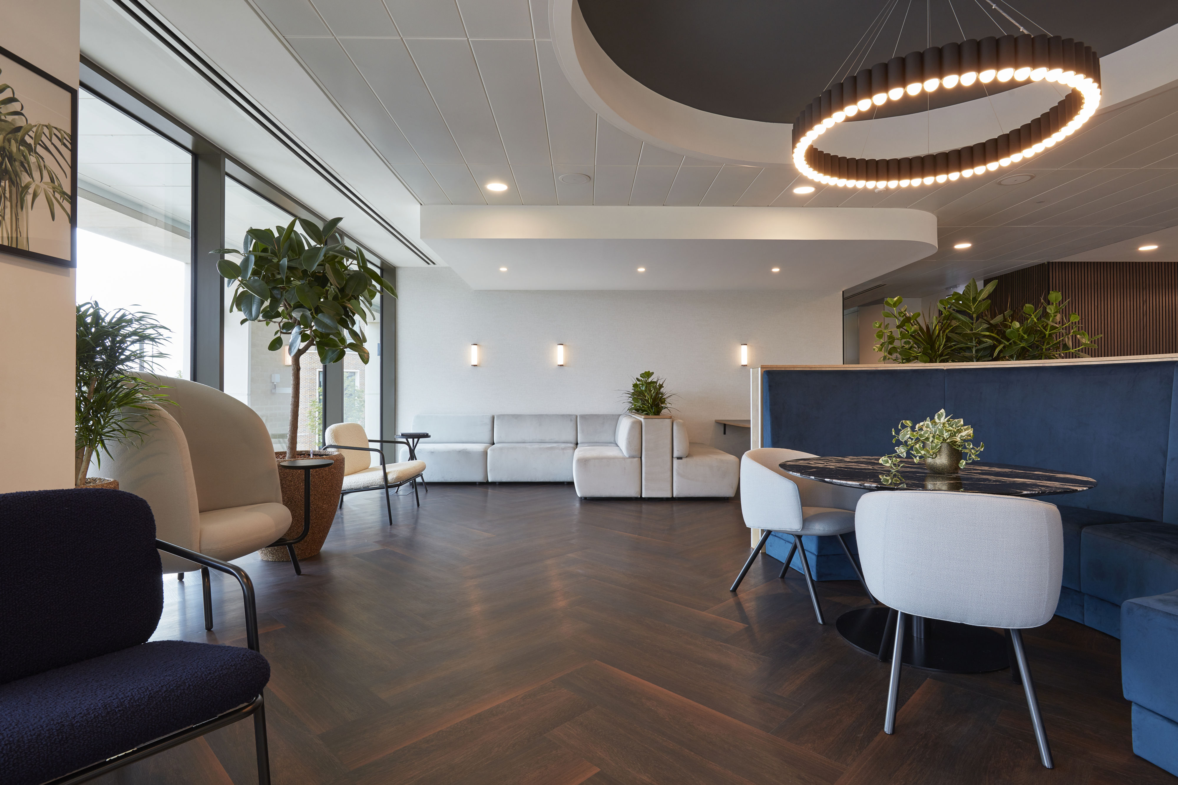 Modern office lounge with a circular pendant light hangs above a seating area featuring beige and navy chairs, a round table, and potted plants, surrounded by large windows and soft lighting.