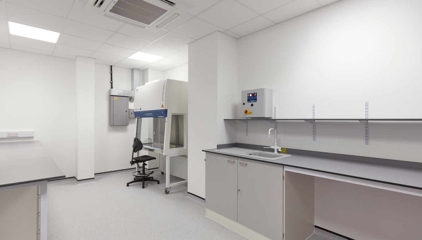Sterile laboratory space with clean white walls, grey cabinetry, a fume hood workstation, overhead lighting, and a ventilation system