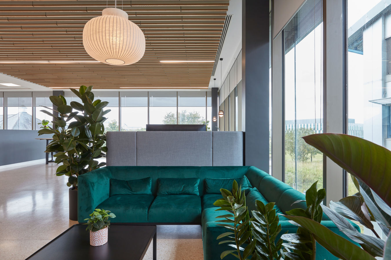 A modern office lounge features a teal sectional sofa surrounded by large green plants, beneath a wooden ceiling with a spherical pendant light, next to large windows revealing an outdoor view.