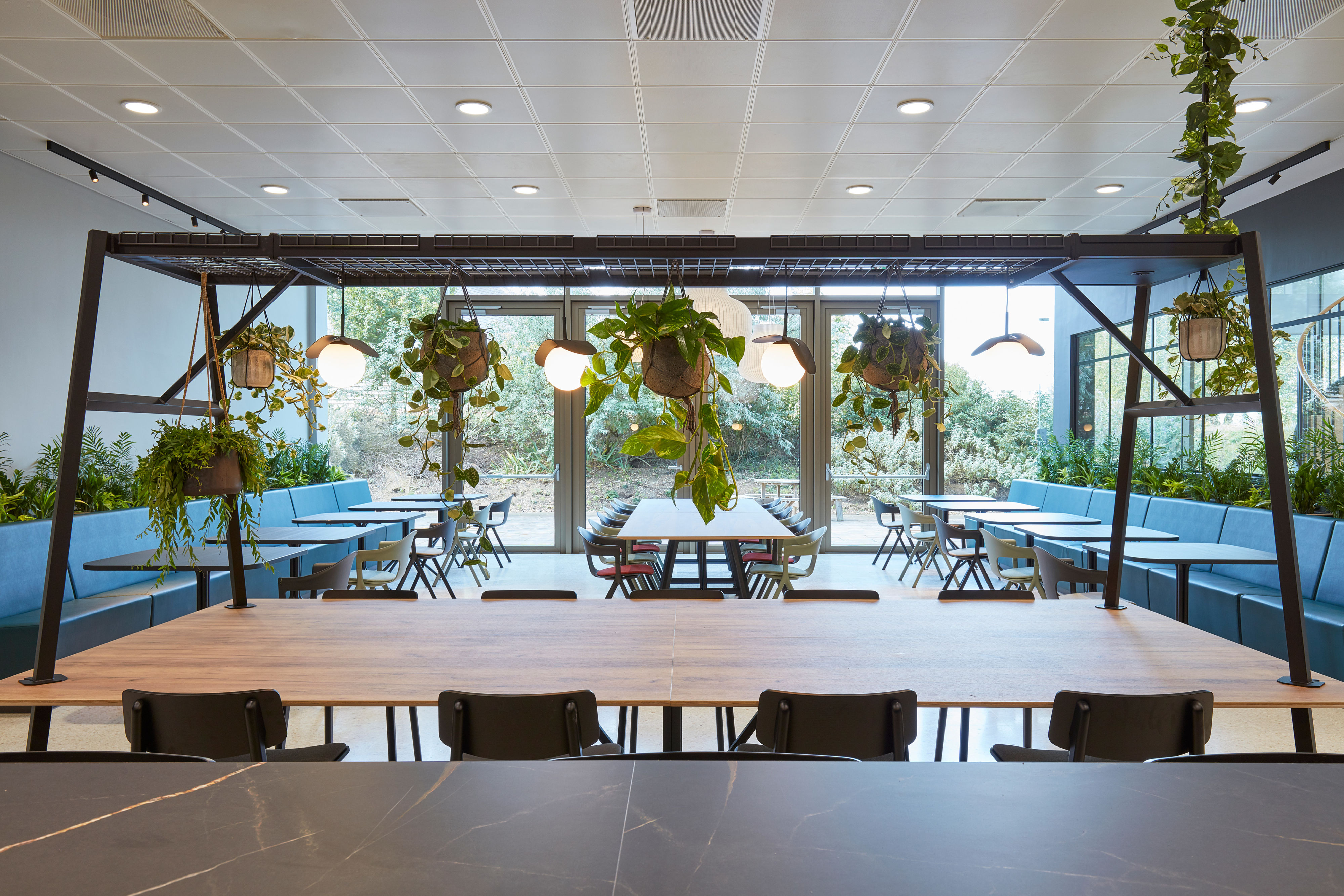 Wooden tables with hanging plants and light fixtures above in a modern cafeteria setting, featuring blue cushioned benches, black chairs, and large windows showing outdoor greenery.