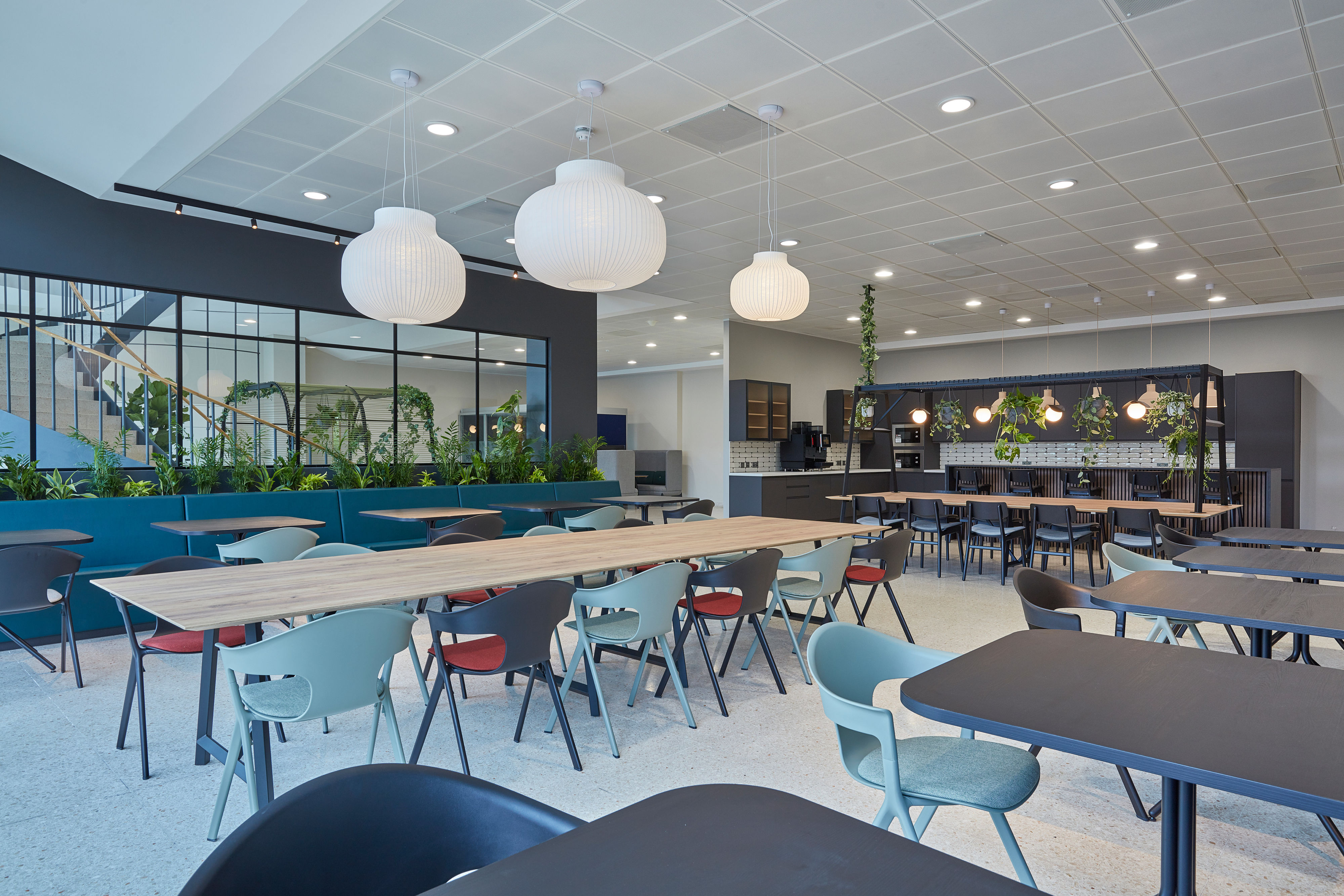 Modern cafeteria with rows of wooden tables and colorful chairs, featuring hanging white lamps and greenery, set within a spacious, well-lit kitchen area and dining space.