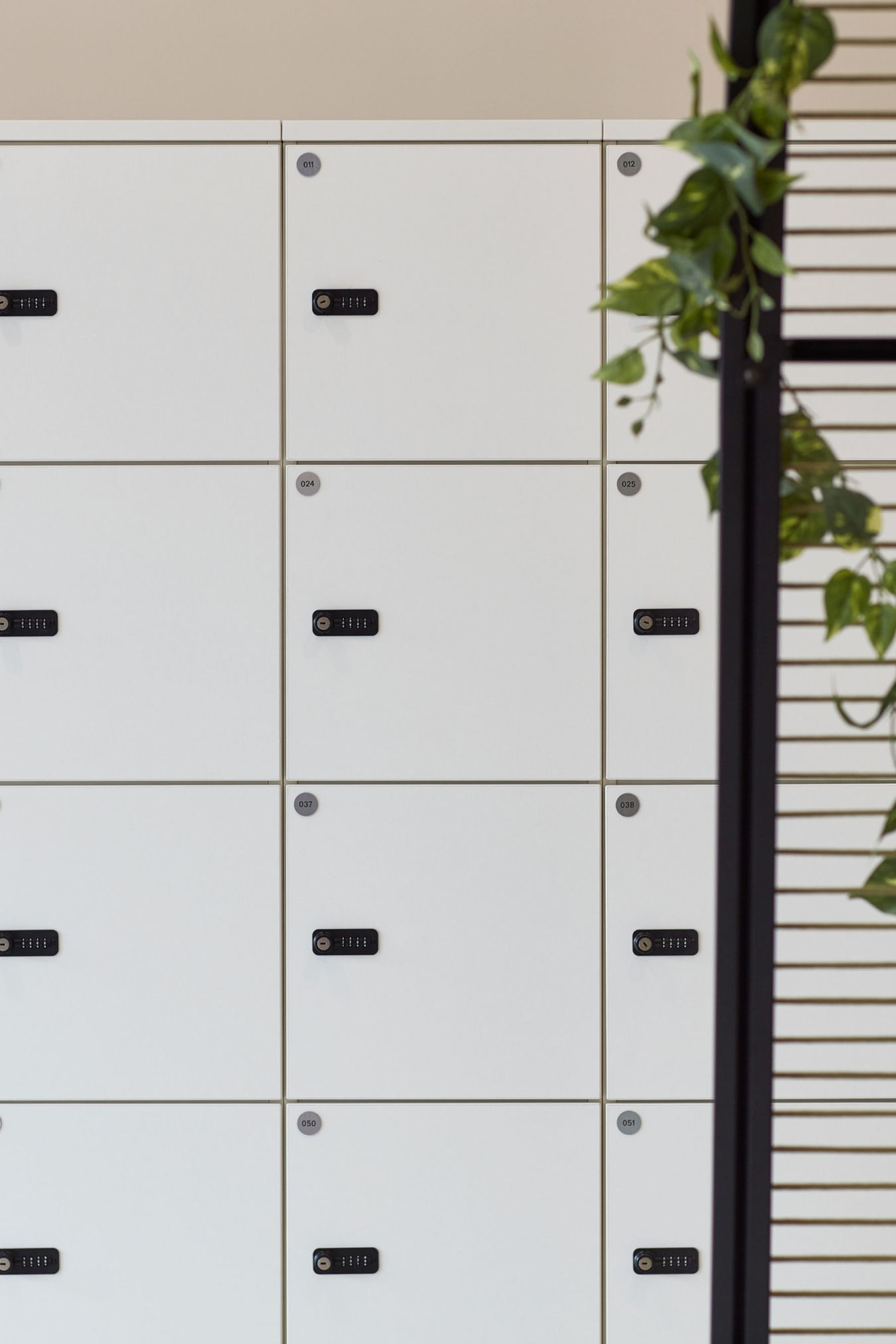 White lockers with combination locks are arranged in neat rows; a vertical plant drapes over a decorative slatted divider, creating a modern office or gym setting.
