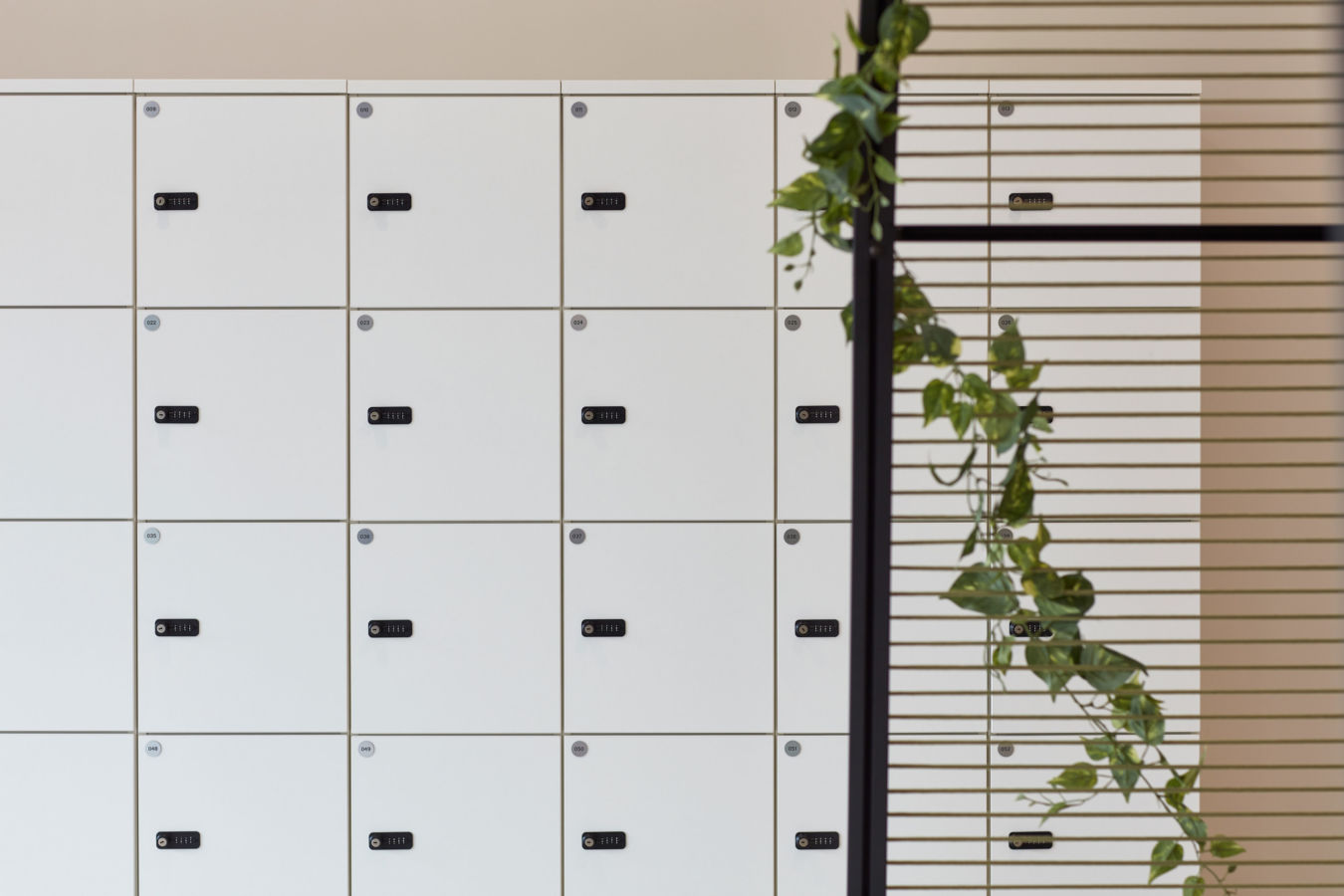 White lockers with combination locks are arranged in neat rows; a vertical plant drapes over a decorative slatted divider, creating a modern office or gym setting.