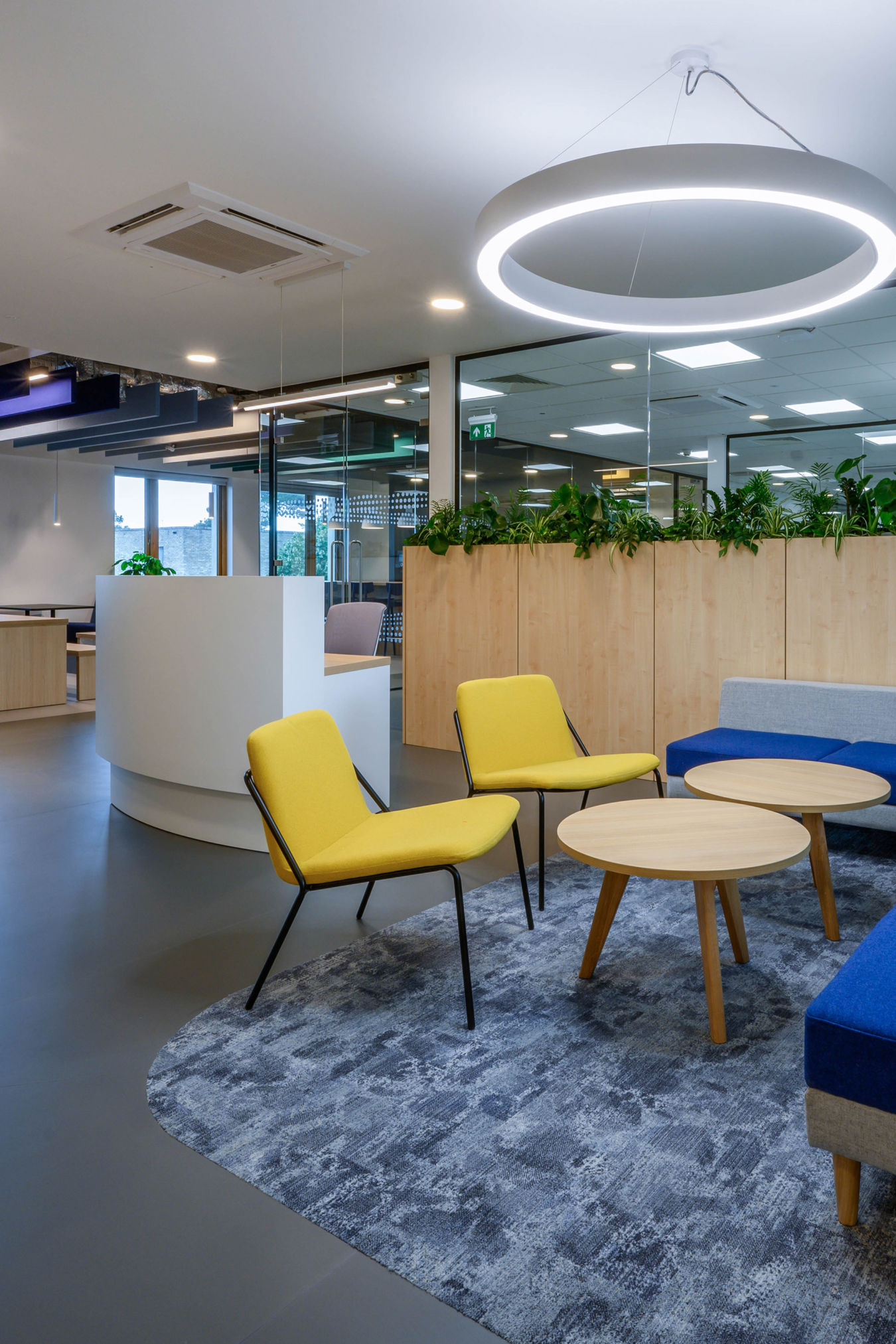 Yellow chairs and round wooden tables are arranged on a textured rug in a modern office lounge. A circular light hangs above, with green plants lining a partition wall.