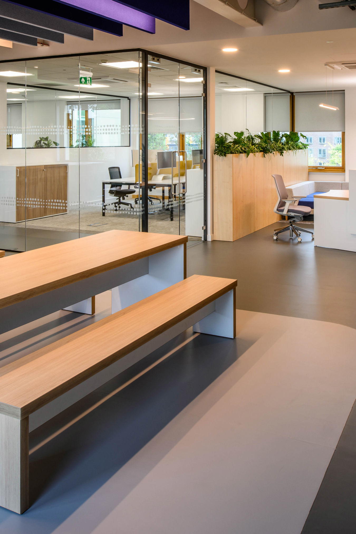 modern office cafeteria with long wooden tables and benches, adjacent to glass-walled offices