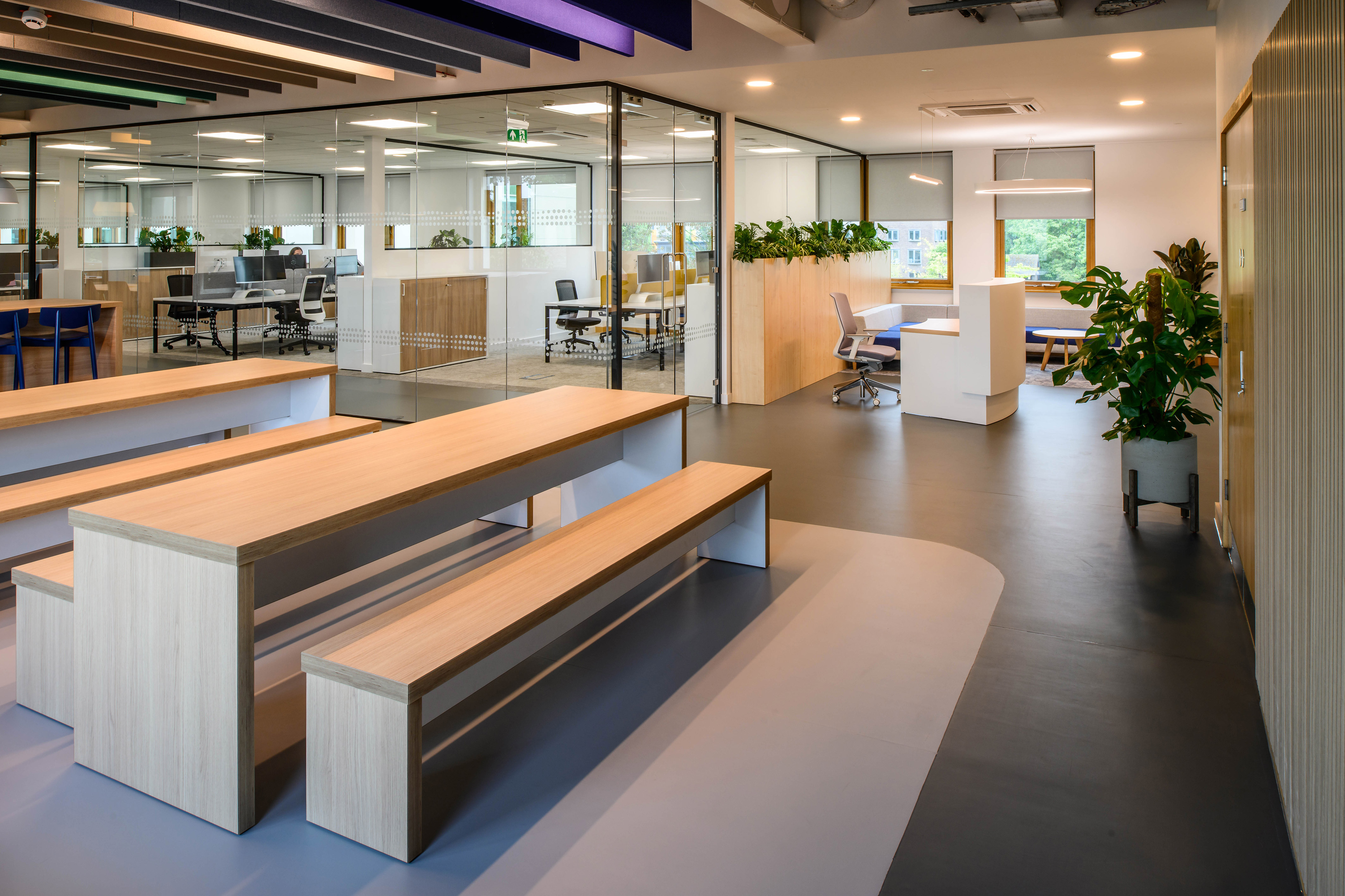 modern office cafeteria with long wooden tables and benches, adjacent to glass-walled offices