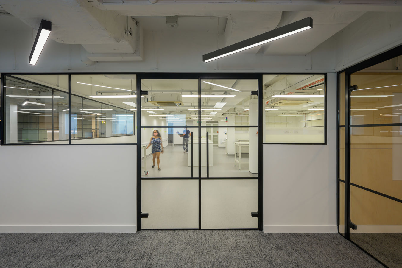 Modern office interior with black-framed glass partitions and visible laboratory space beyond, part of a COEL fit-out for Wren Therapeutics.