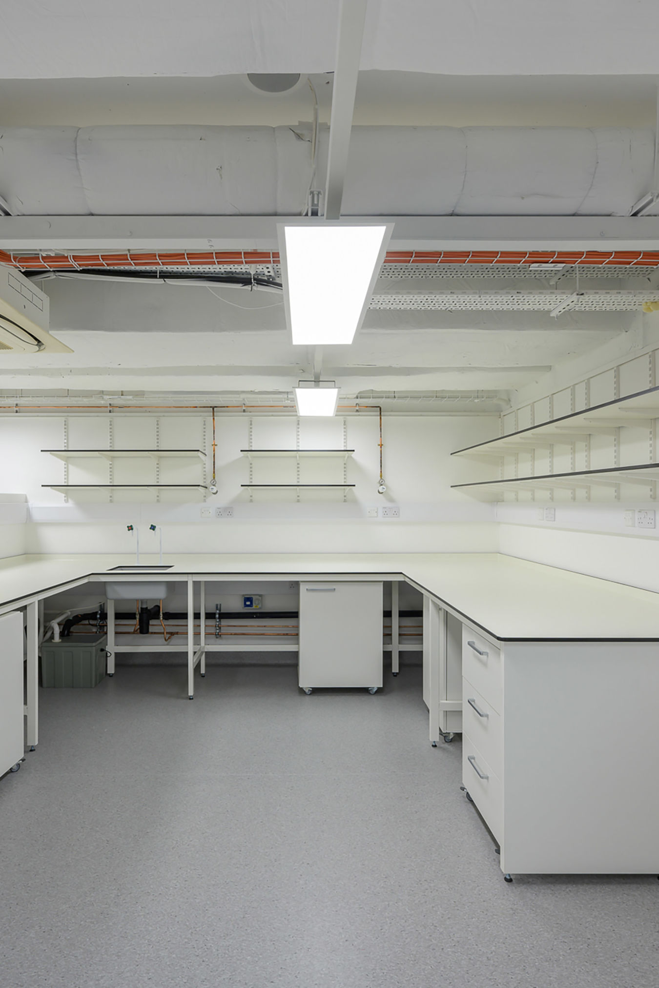 Laboratory room featuring clean white countertops and shelves, with fluorescent ceiling lights illuminating the space; cabinets and storage units below add to the organized, professional setting.
