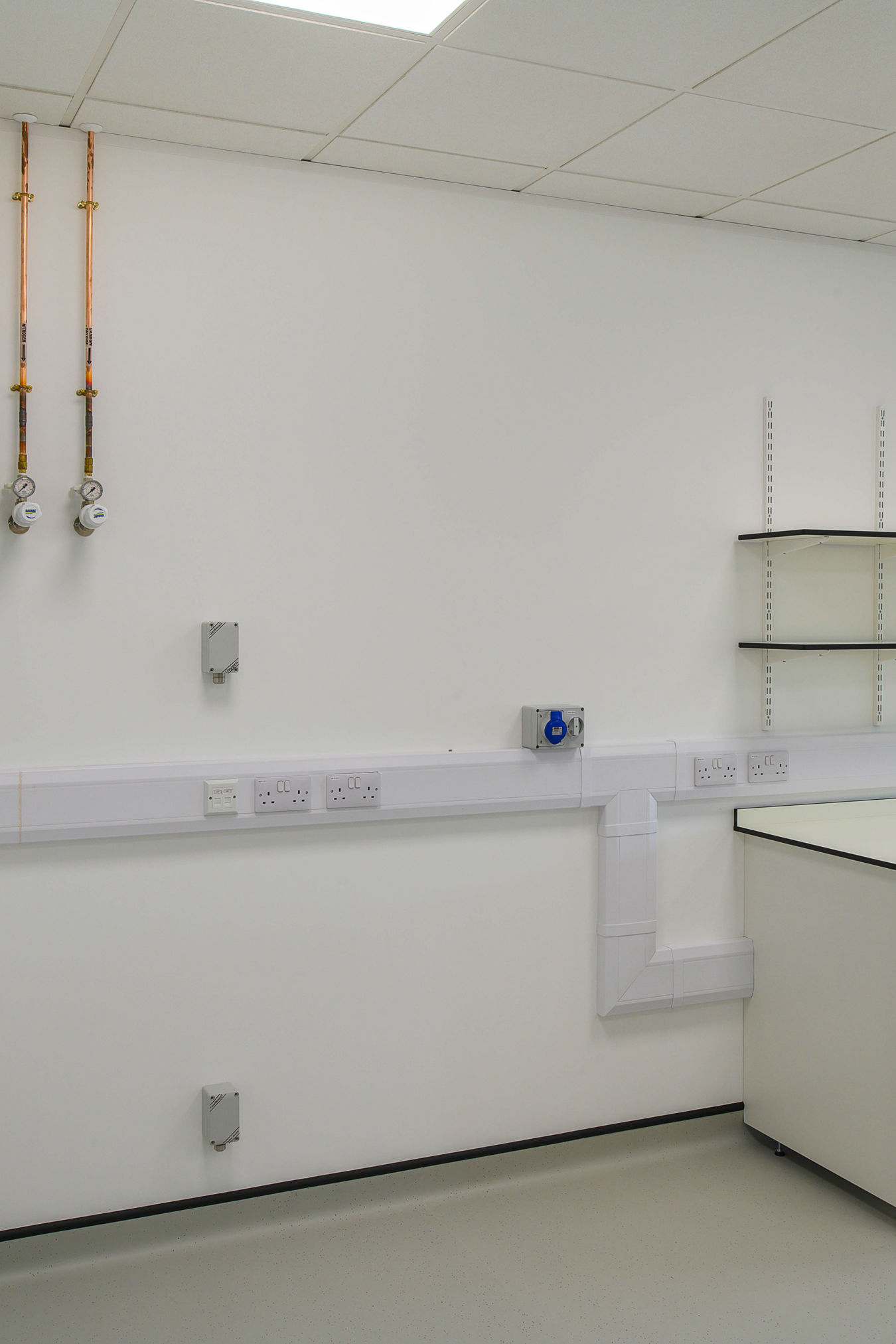 Clean and functional laboratory space with fitted workbenches, wall-mounted shelves, and utility connections, delivered by COEL for Transition Bio.