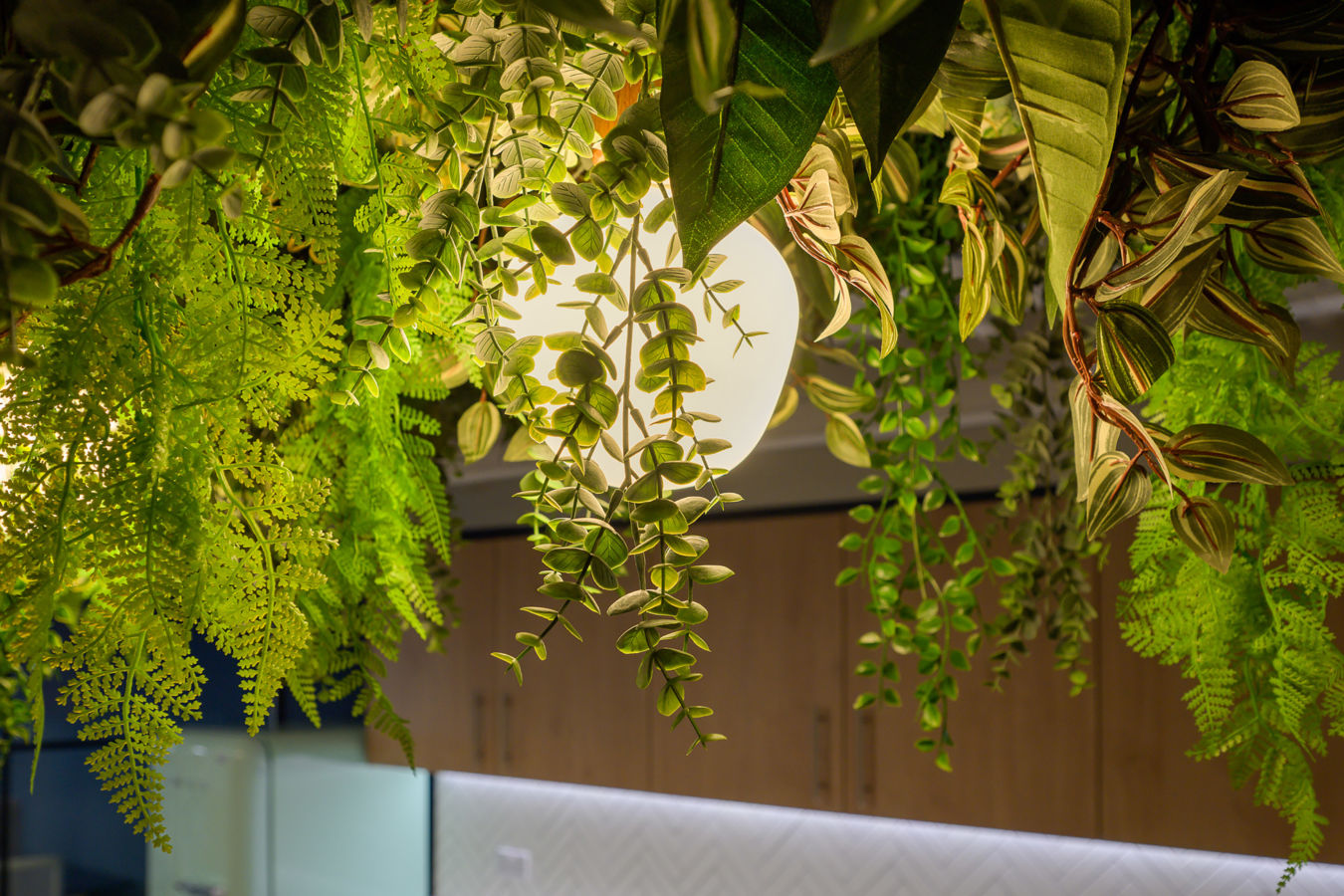 Hanging plants with vibrant green leaves surround a glowing light bulb, creating an indoor greenery ambiance above a modern kitchen with wooden cabinets and geometric backsplash.