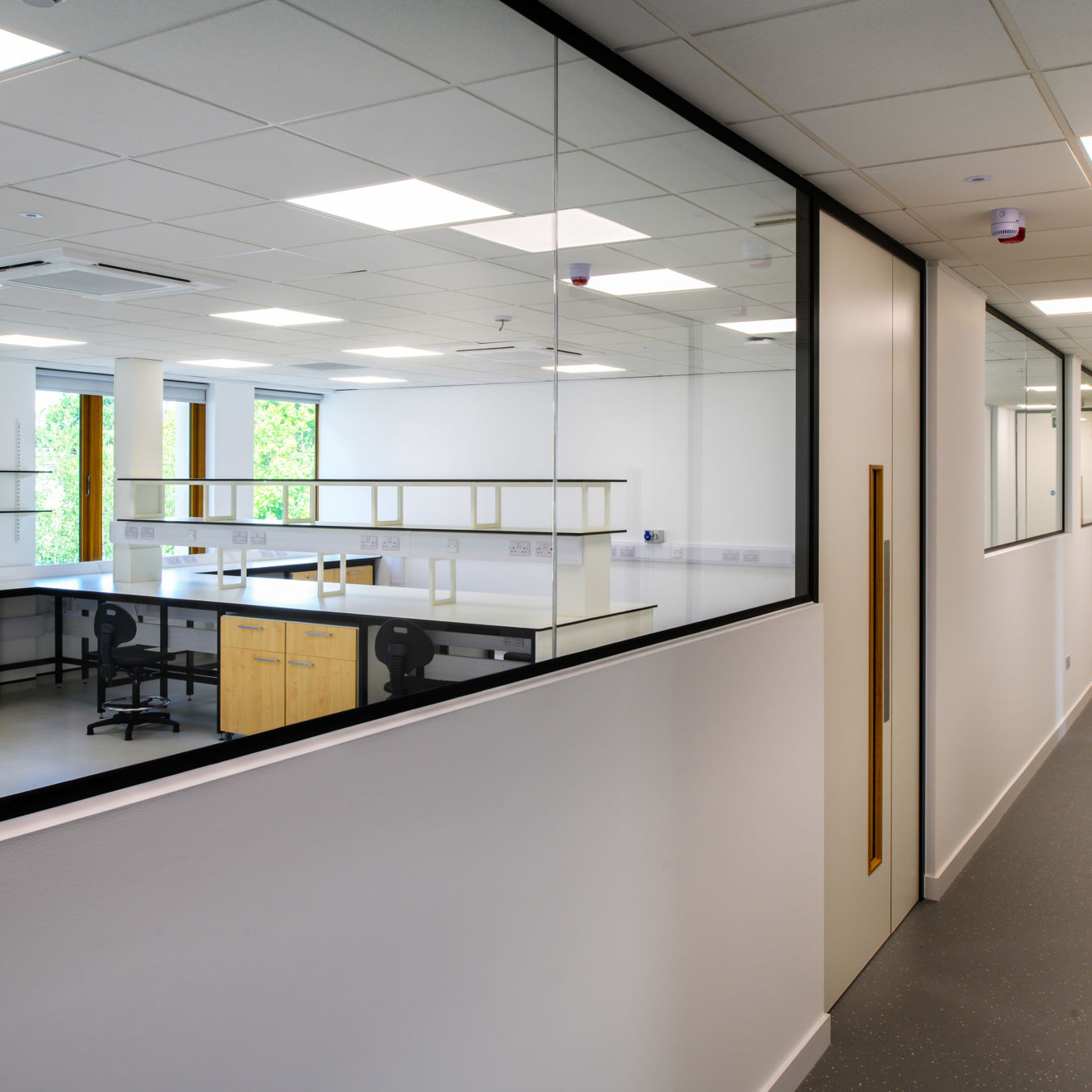 Interior hallway view into a bright laboratory space with workstations and glass partitioning, part of a COEL Lab Planning project for Transition Bio.