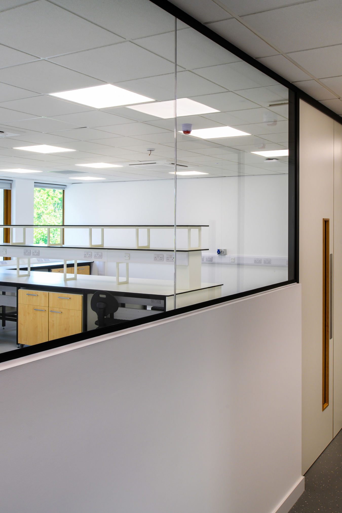 Interior hallway view into a bright laboratory space with workstations and glass partitioning, part of a COEL Lab Planning project for Transition Bio.