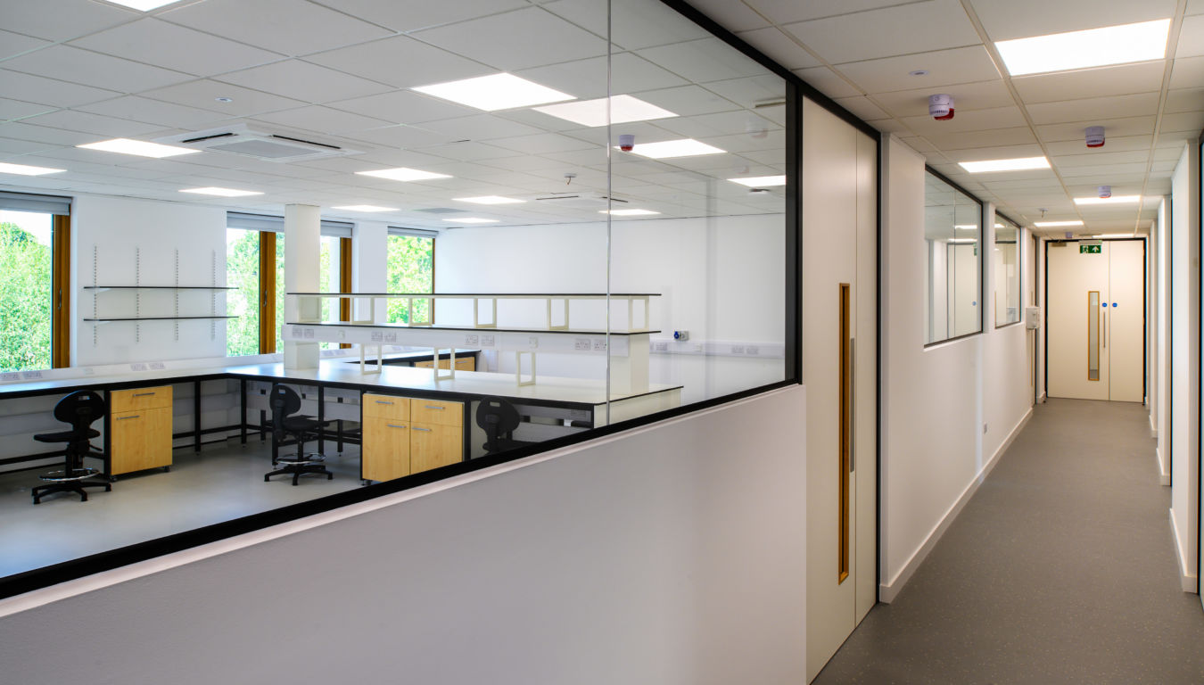 Interior hallway view into a bright laboratory space with workstations and glass partitioning, part of a COEL Lab Planning project for Transition Bio.