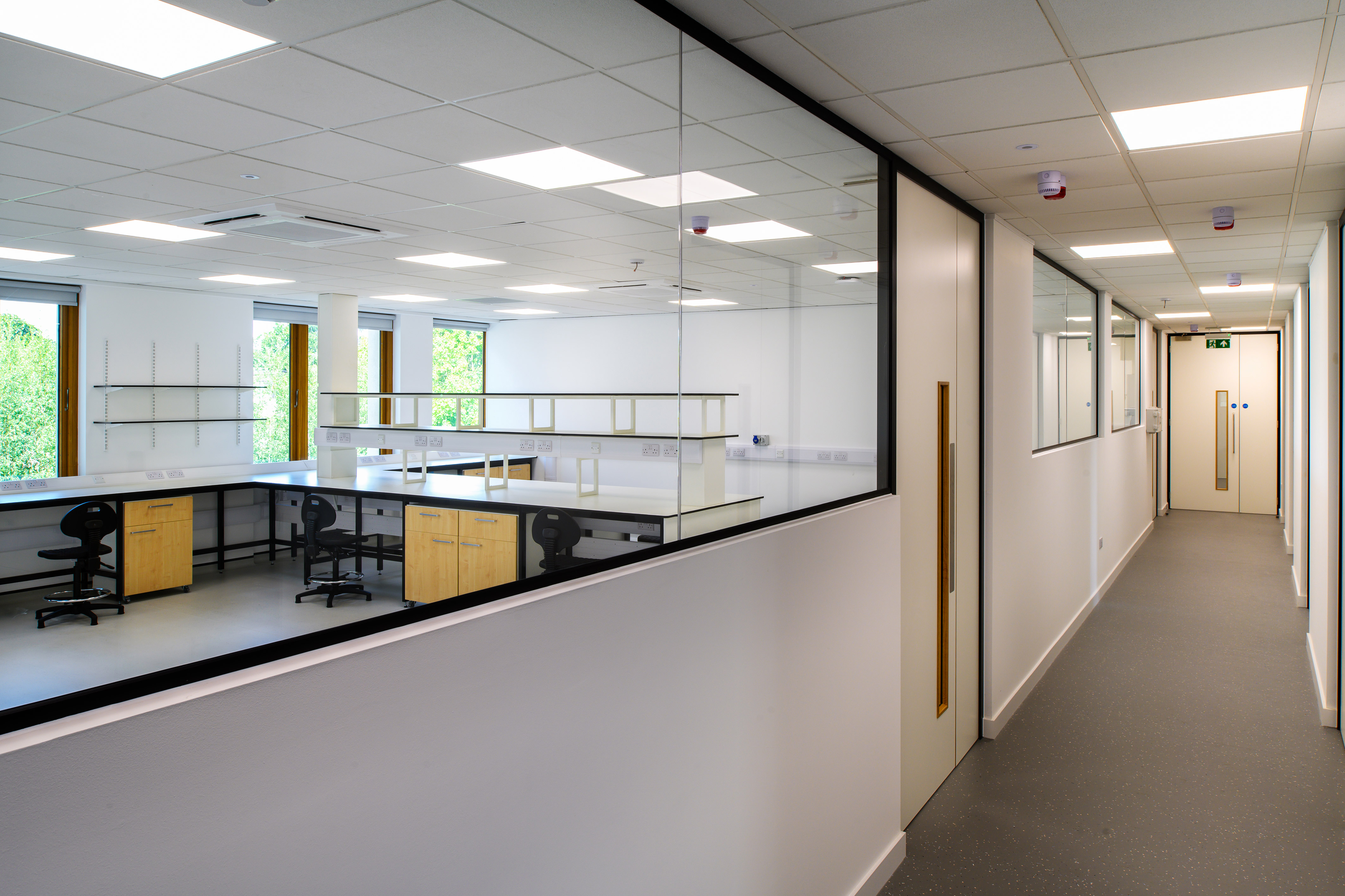 Interior hallway view into a bright laboratory space with workstations and glass partitioning, part of a COEL Lab Planning project for Transition Bio.