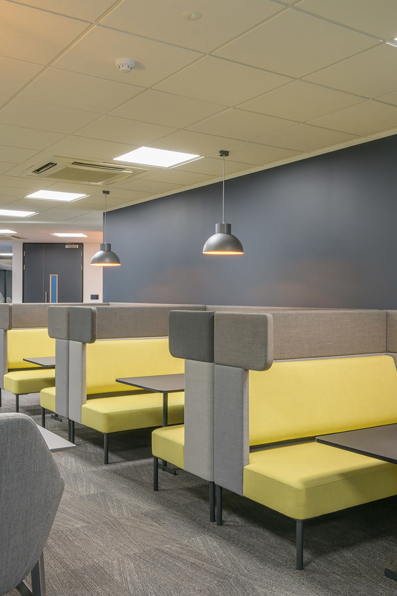 Modern office lounge with gray and yellow booth seating, gray walls, and hanging lights. Shelves with plants add a fresh touch. Bright, inviting atmosphere