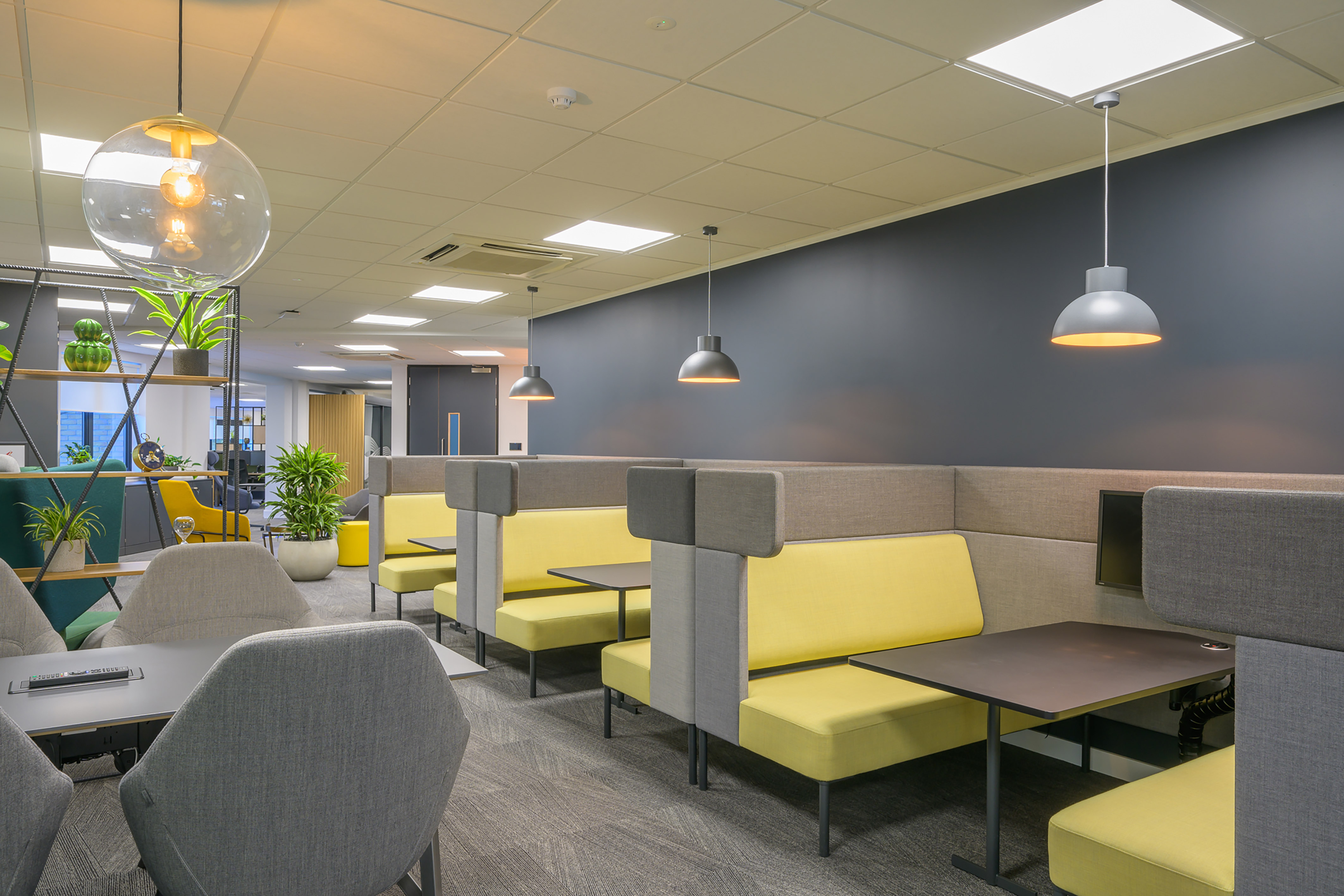 Modern office lounge with gray and yellow booth seating, gray walls, and hanging lights. Shelves with plants add a fresh touch. Bright, inviting atmosphere