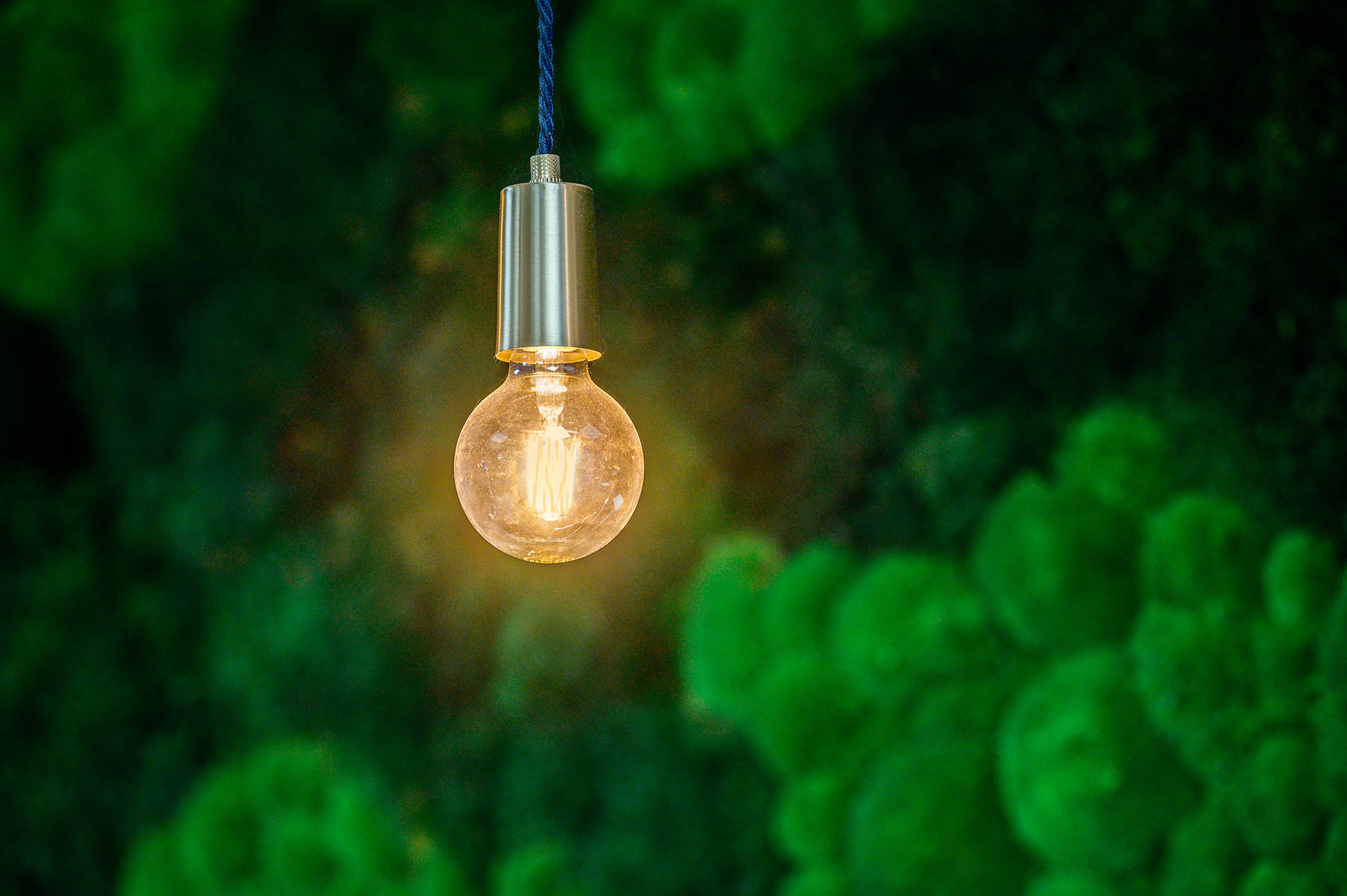 A glowing light bulb hangs from a metallic fixture, casting a warm light against a blurred, green, plant-like background.