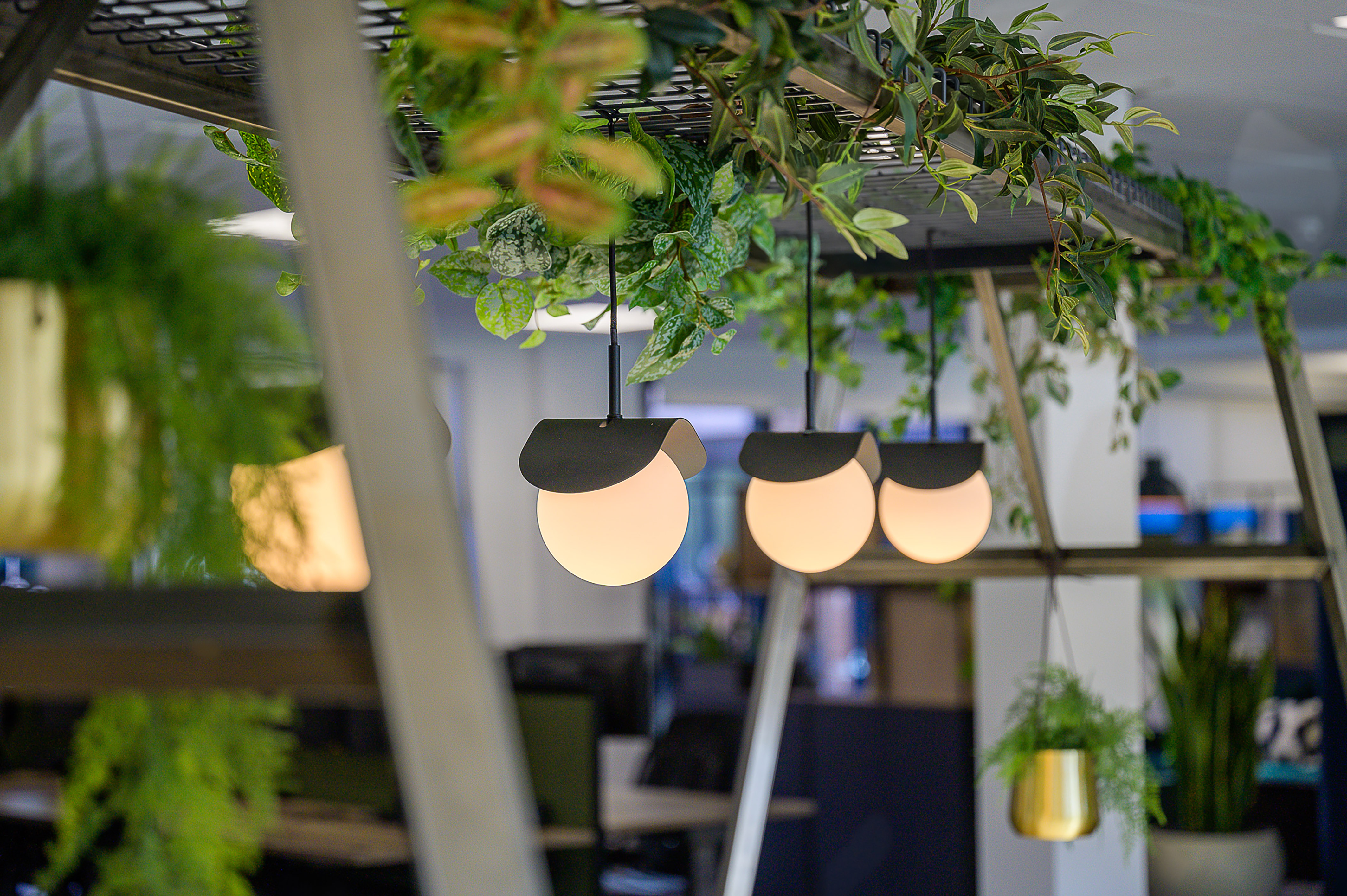 Hanging pendant lights emit a warm glow beneath a modern trellis adorned with lush green plants, set in a contemporary office environment.