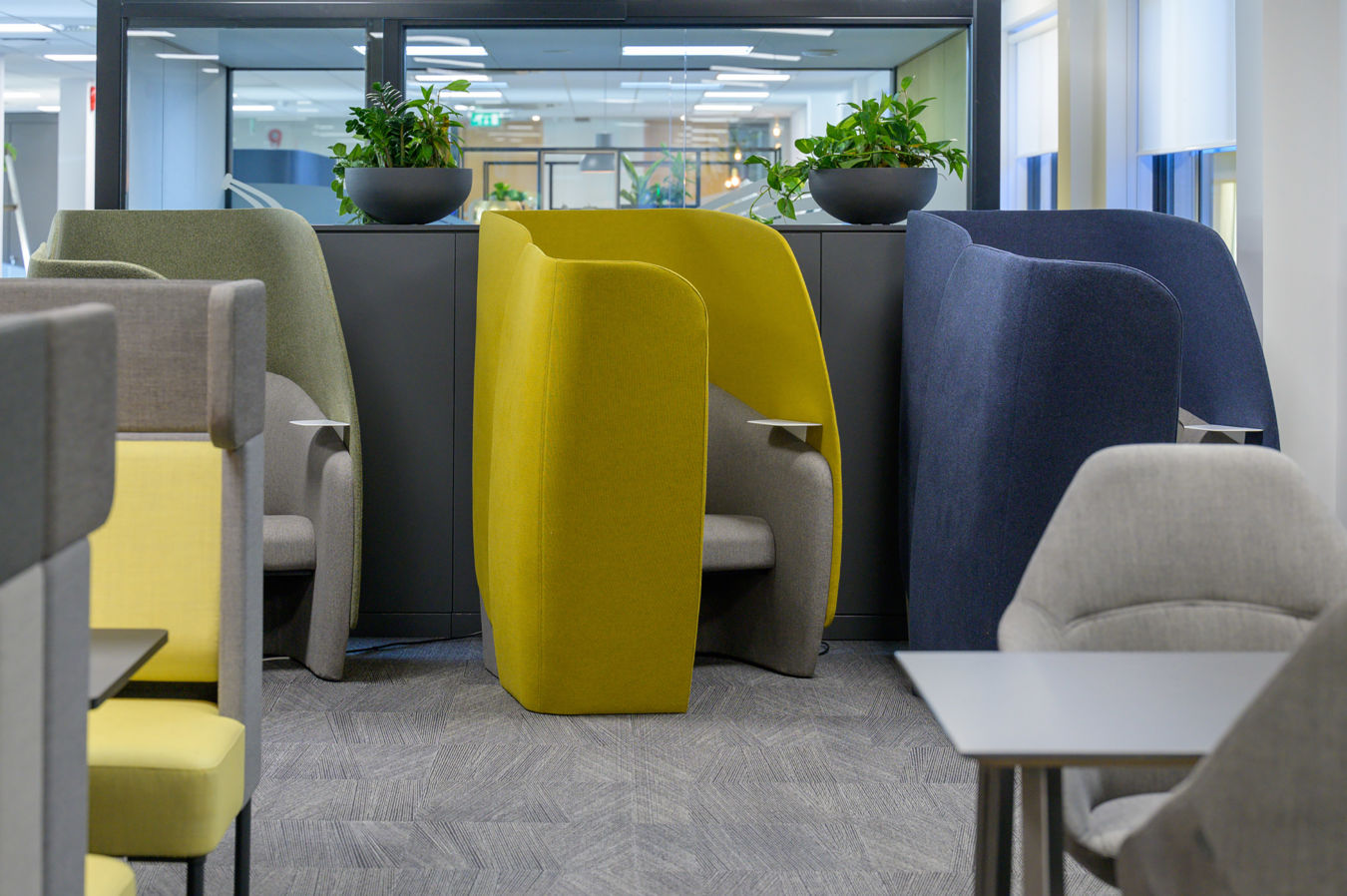Modern office space with colorful privacy pods in yellow, green, and blue. Potted plants on dark dividers add a fresh touch to the serene atmosphere.