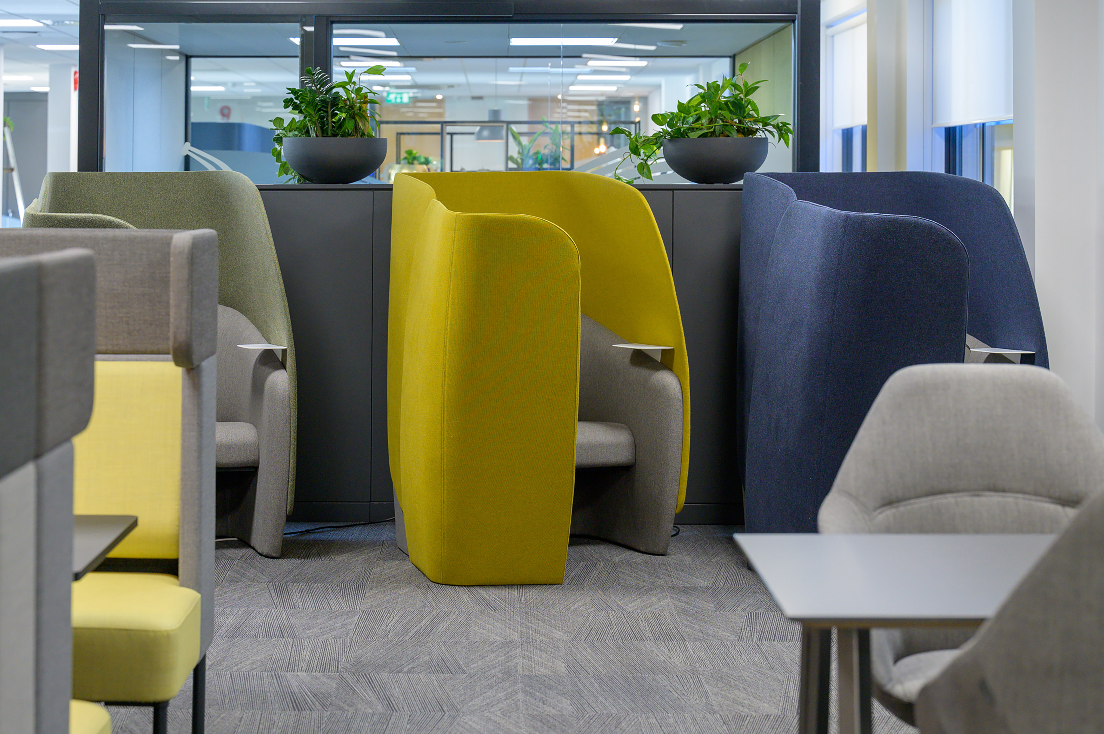 Modern office space with colorful privacy pods in yellow, green, and blue. Potted plants on dark dividers add a fresh touch to the serene atmosphere.