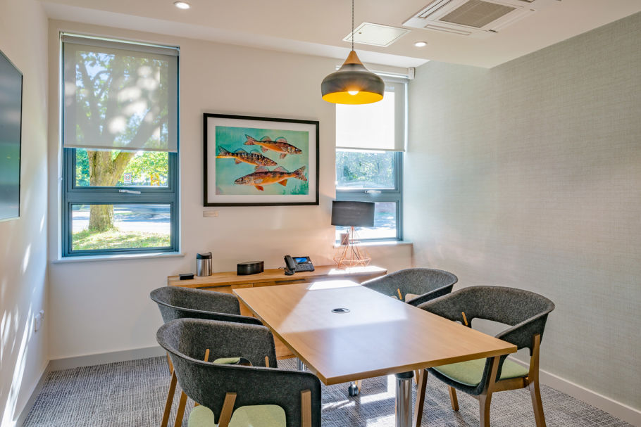 Bright meeting room with a wooden table, four gray chairs, fish artwork on a wall, large windows with tree view. Lamp and decor add warmth