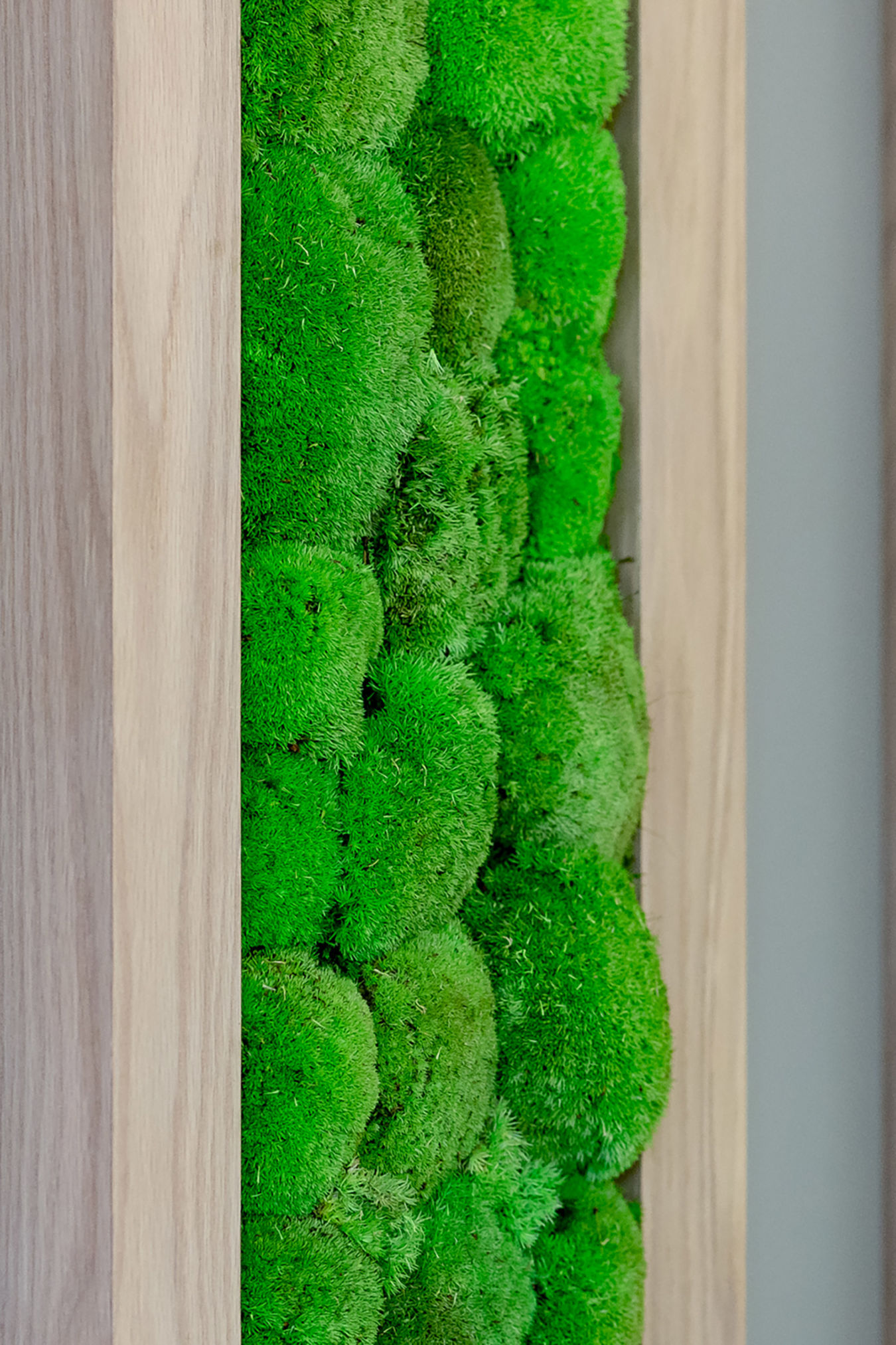 Vibrant green moss arranged vertically within a wooden frame, creating a natural art piece, displayed against a neutral-colored wall.