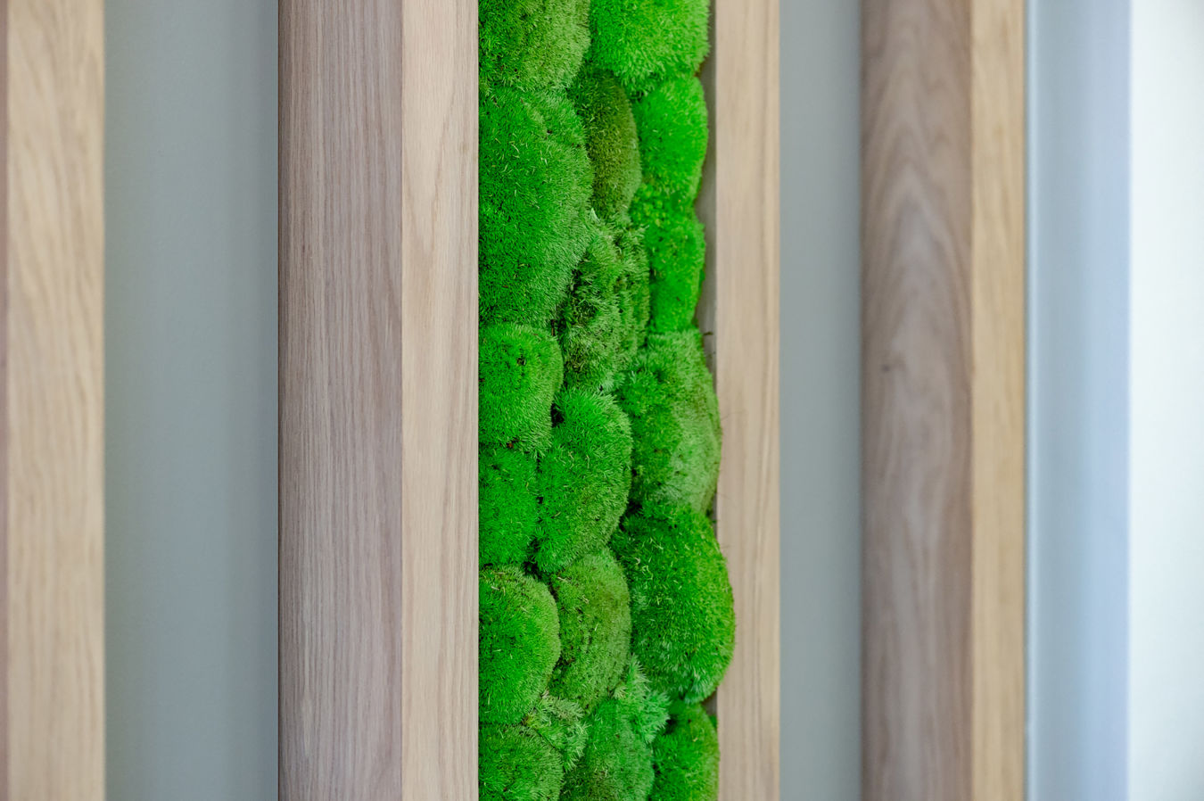 Vibrant green moss arranged vertically within a wooden frame, creating a natural art piece, displayed against a neutral-colored wall.
