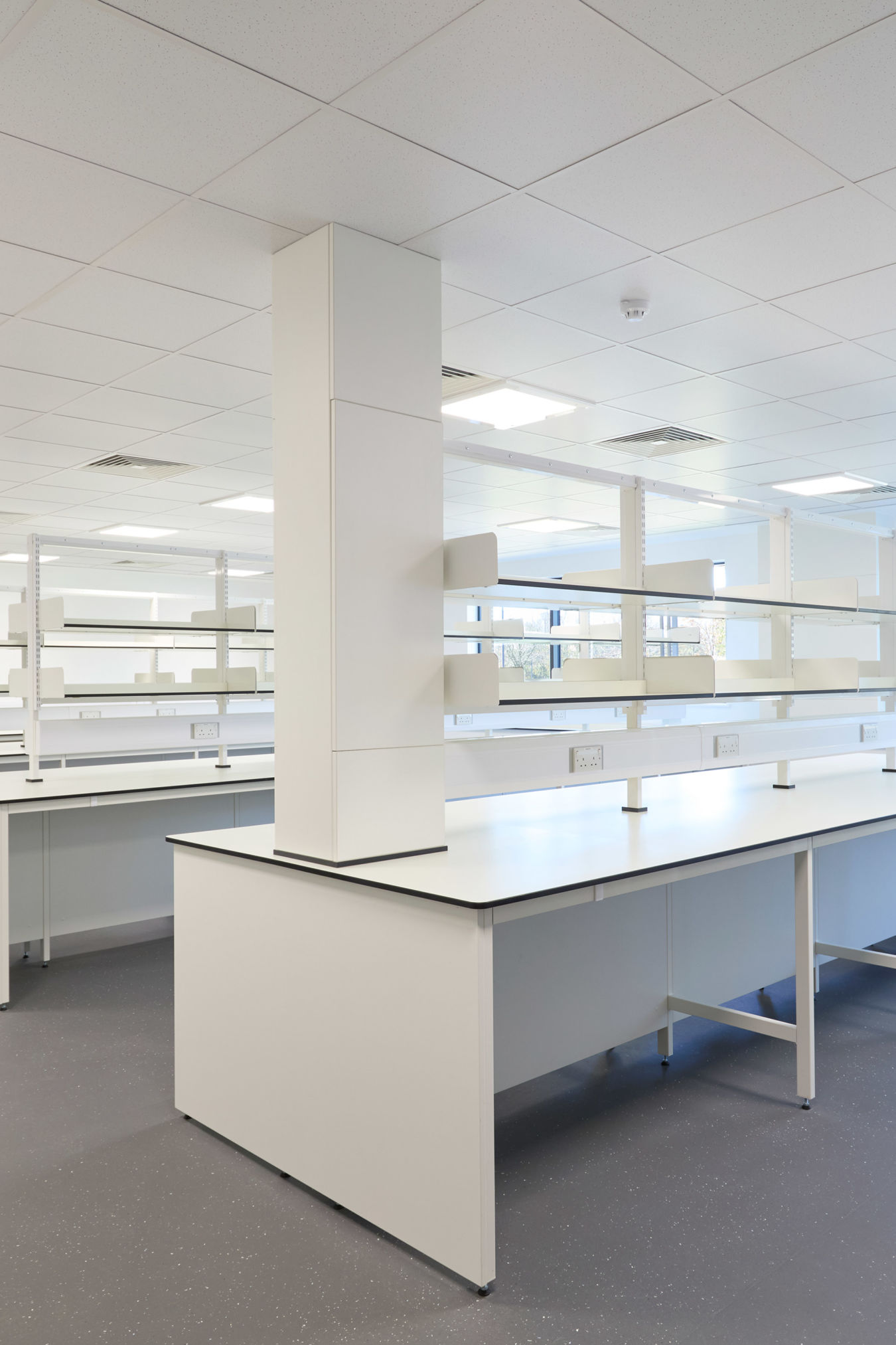 laboratory featuring rows of white benches