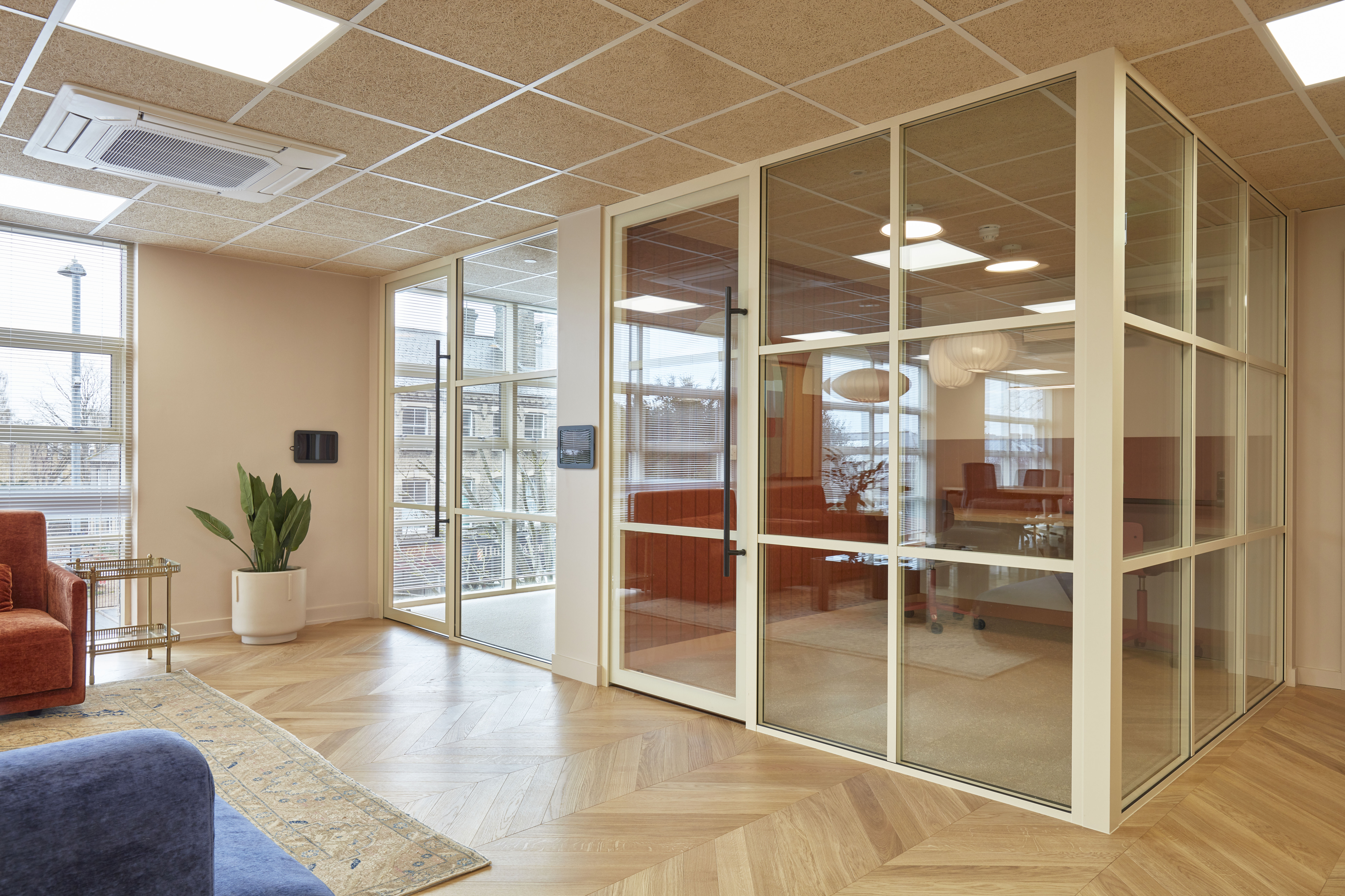 Bright office hallway with wood-patterned flooring, glass-walled meeting rooms, a potted plant, and ceiling lights reflecting on the glass panels.