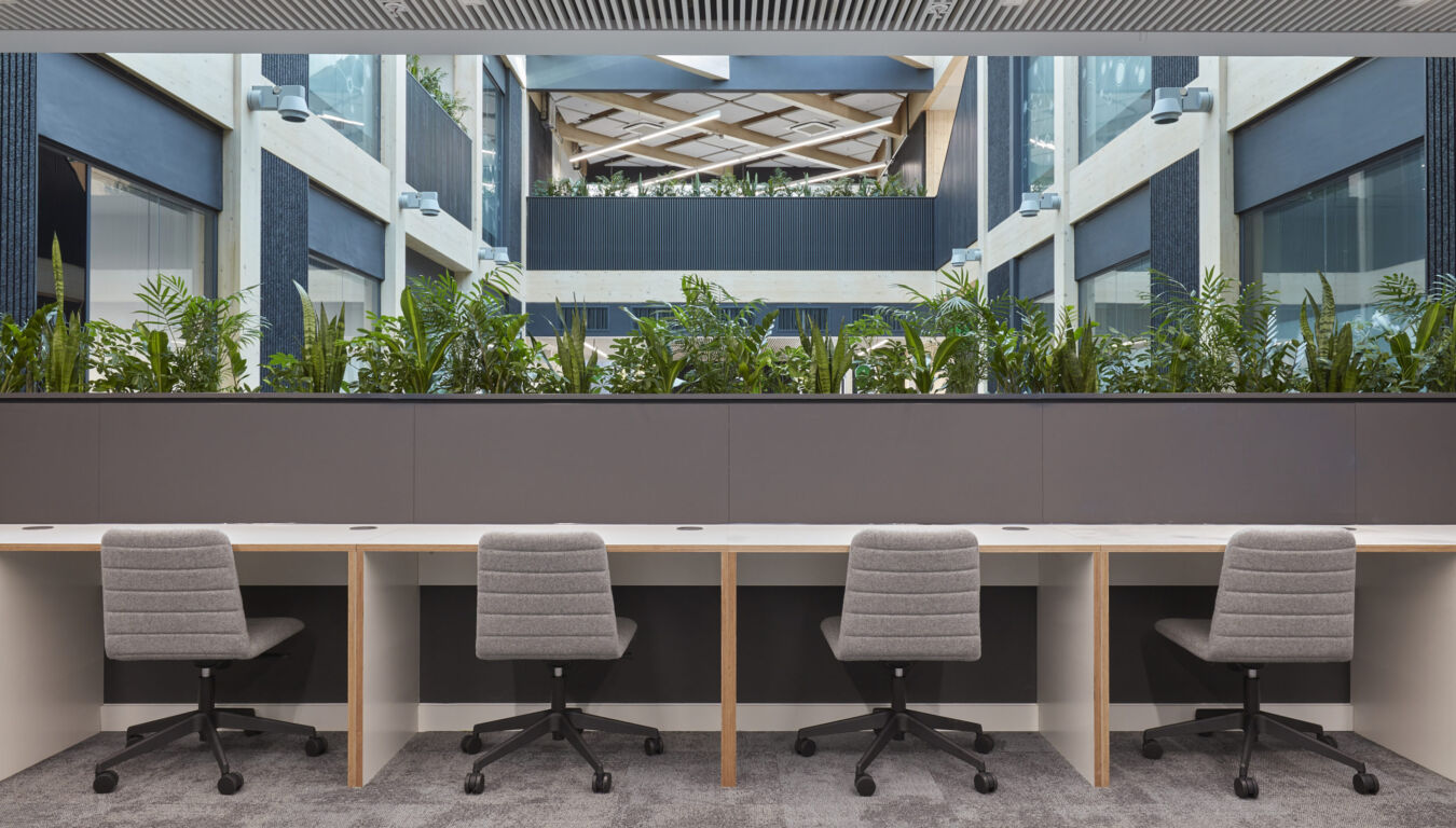 Four grey office chairs rest against a long white desk; a line of green plants separates the workspace from a contemporary atrium with large windows and geometric ceiling design.
