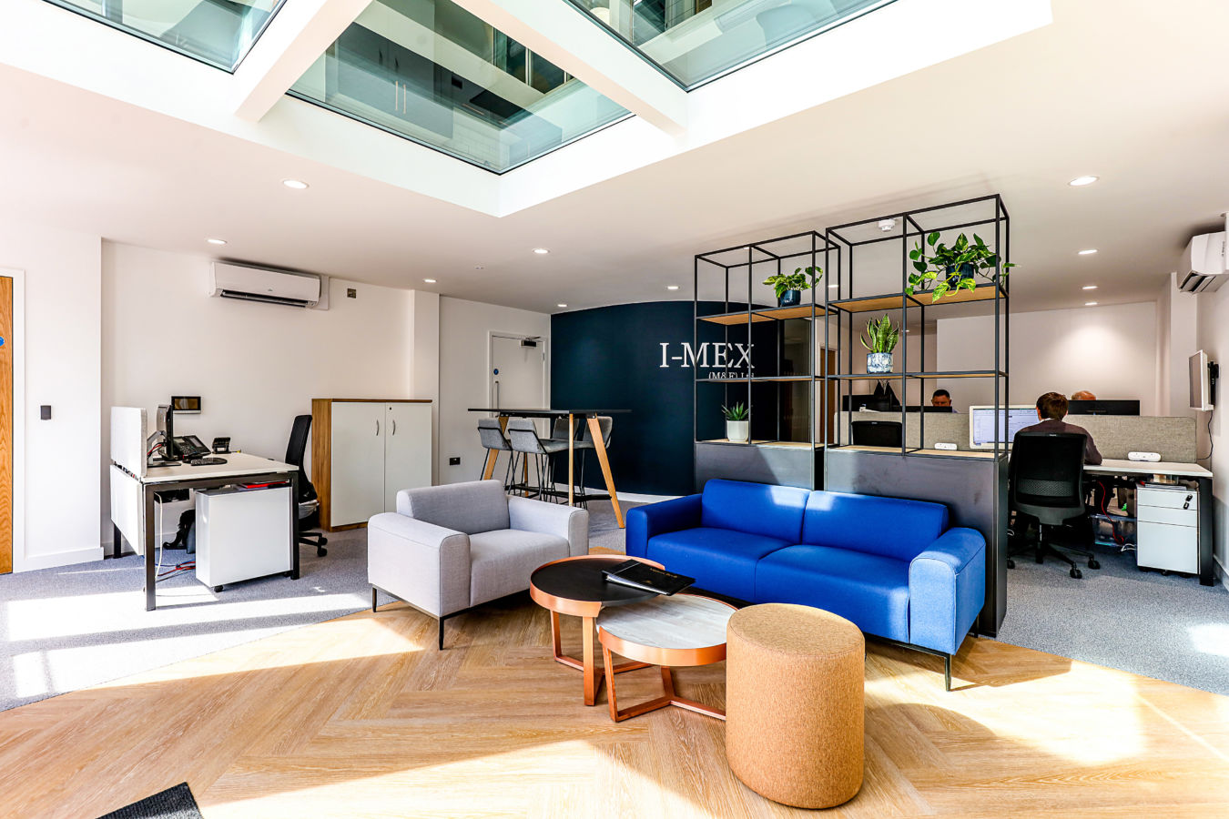 Office space features modern furniture with a blue couch, grey chair, tables, and plant shelves; two people work at computers. Wall displays "I-MEX" logo. Natural light brightens the room.